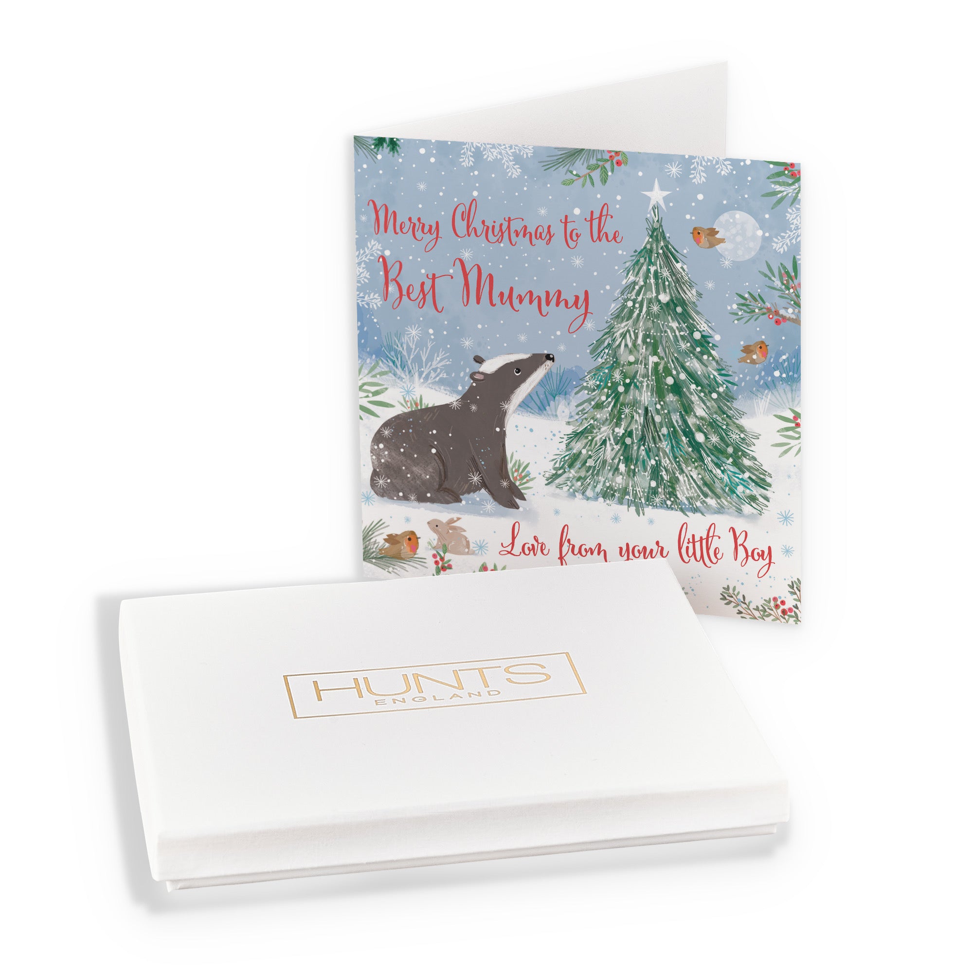 Boxed Cute Badger Mummy From Little Boy Christmas Card Nature's Treasures - Default Title (B0D5YHLSPQ)