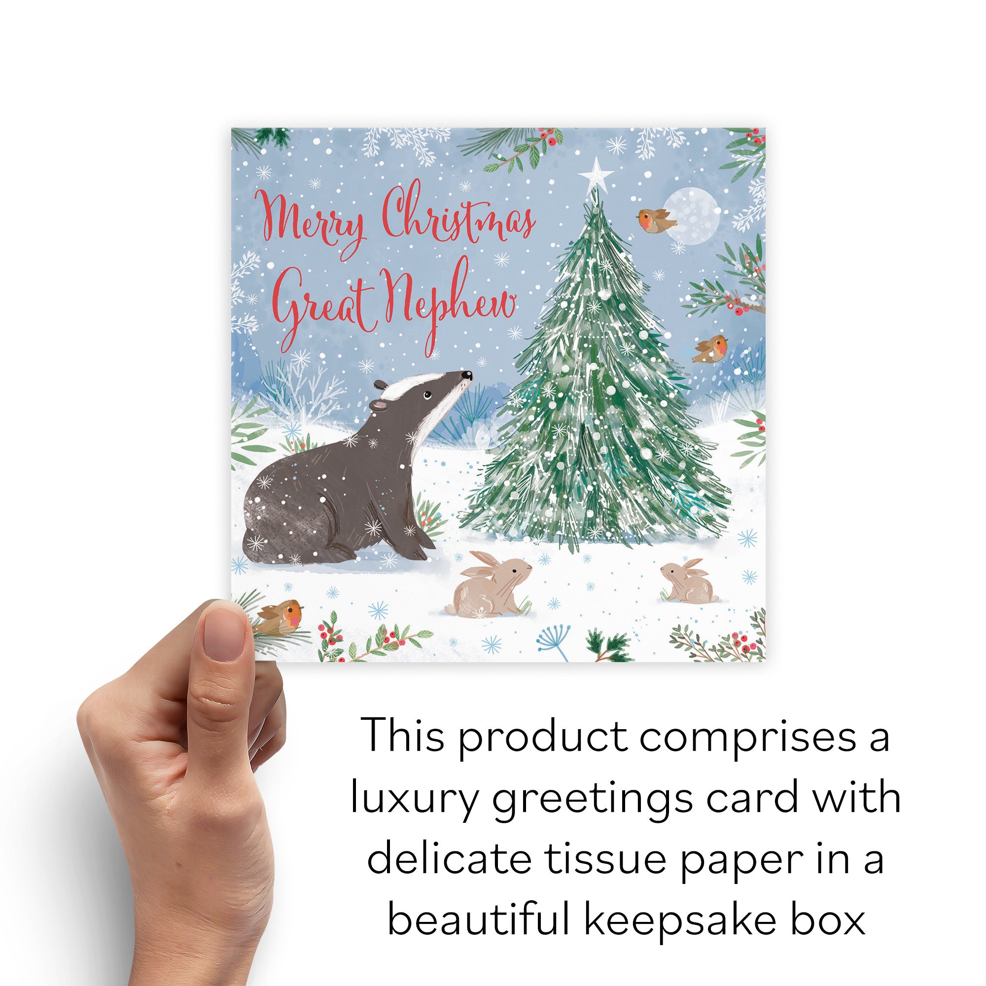 Boxed Badger Great Nephew Christmas Card Nature's Treasures - Default Title (B0D5YHV6PL)