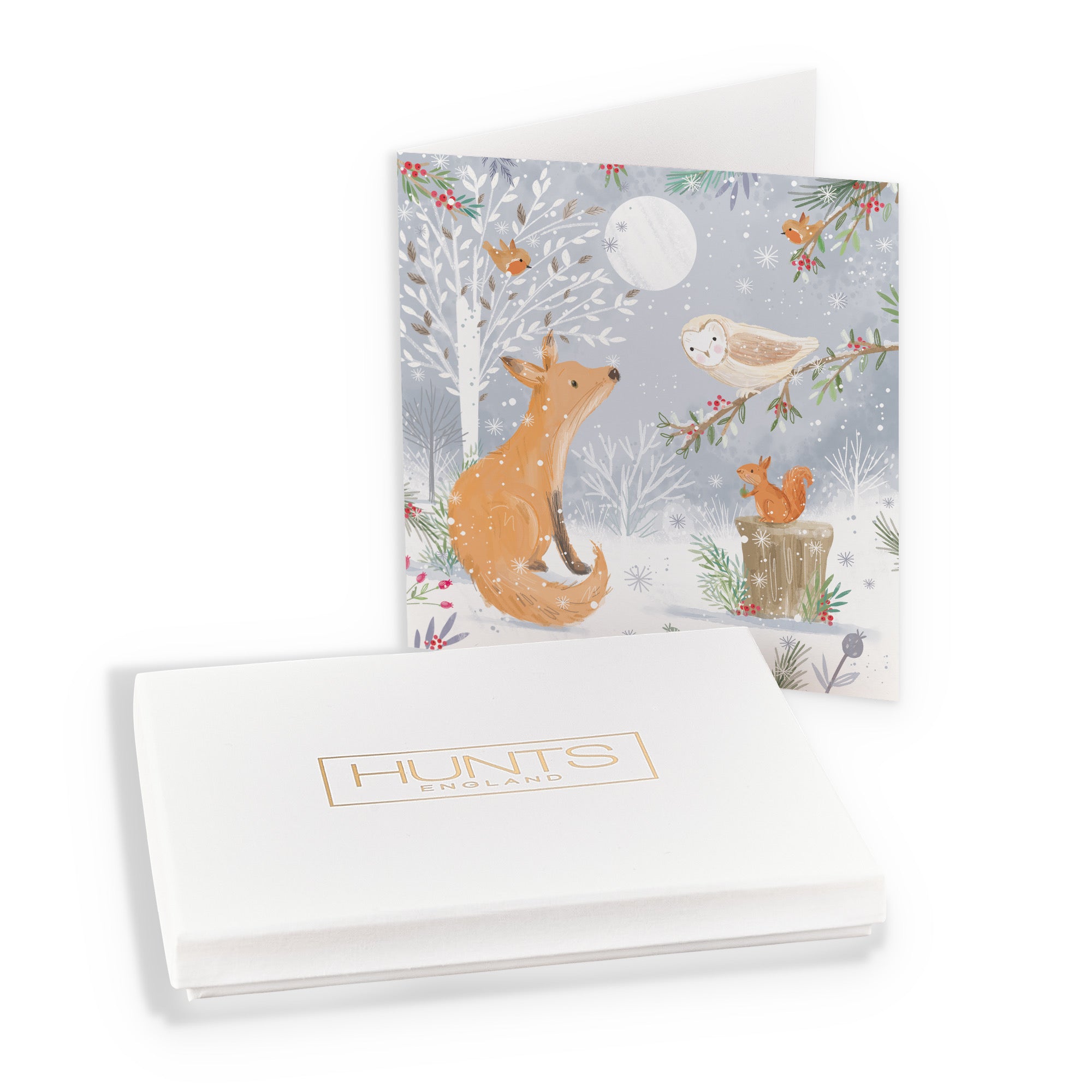 Boxed Open Single Fox Family Fun Christmas Card Nature's Treasures - Default Title (B0D5YJKCPH)