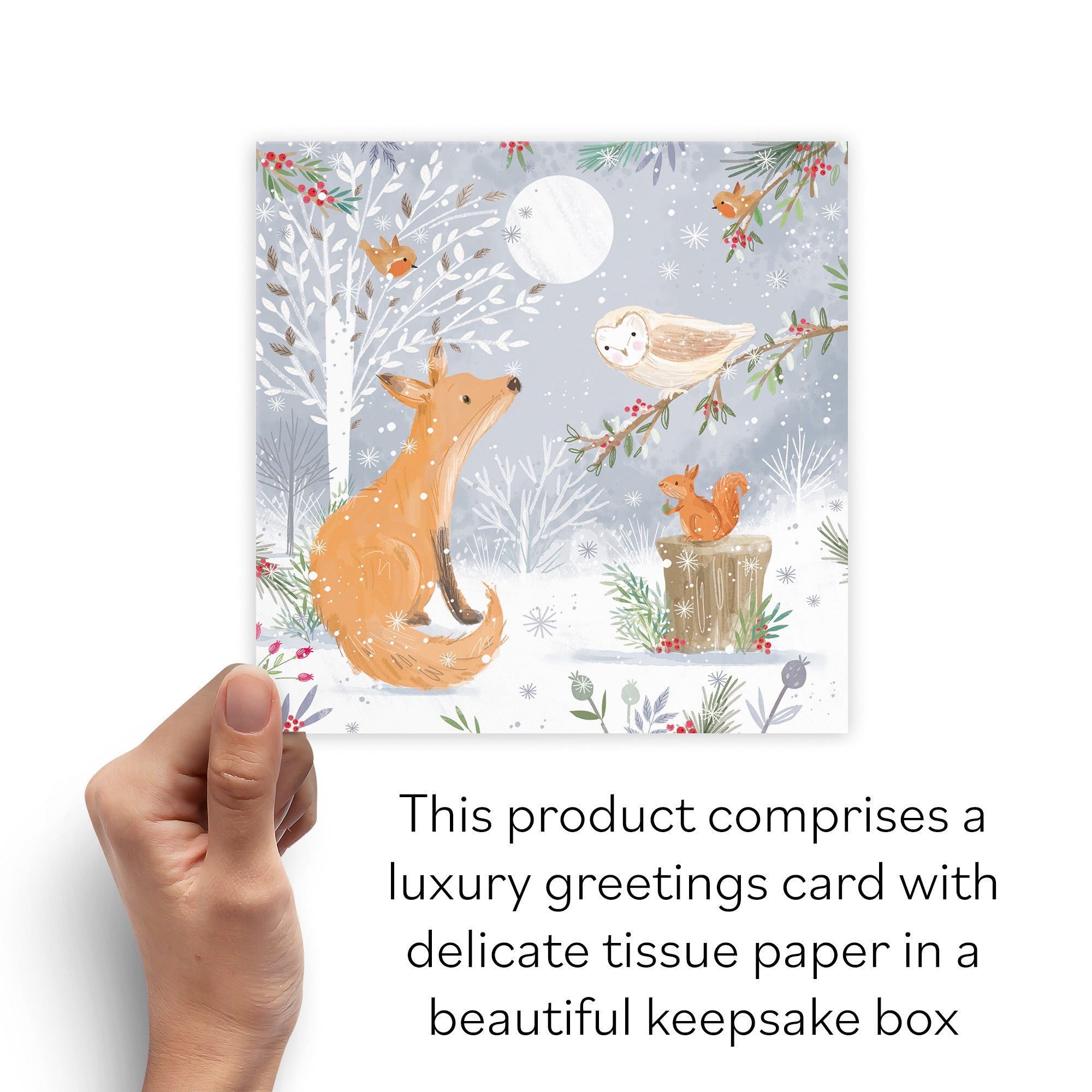 Boxed Open Single Fox Family Fun Christmas Card Nature's Treasures - Default Title (B0D5YJKCPH)