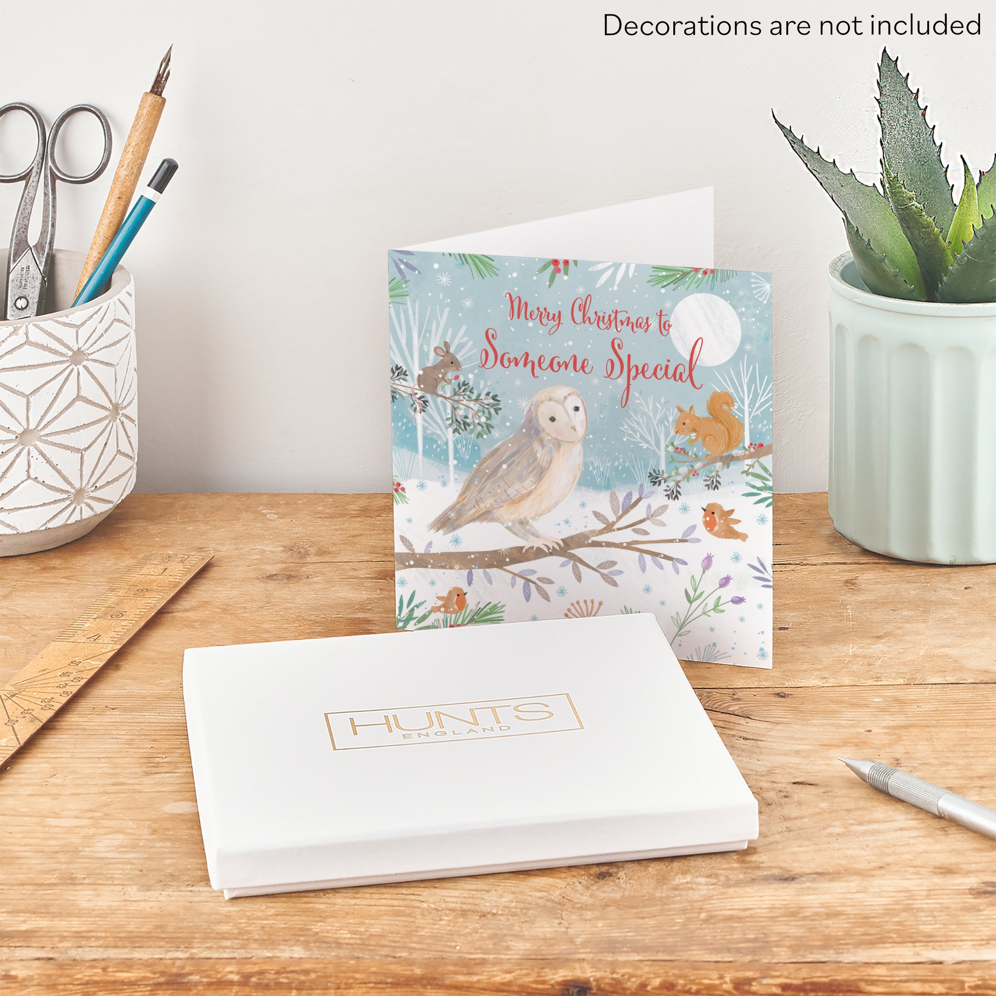 Boxed Someone Special Cute Owl Christmas Card Nature's Treasures - Default Title (B0D5YJQKF7)