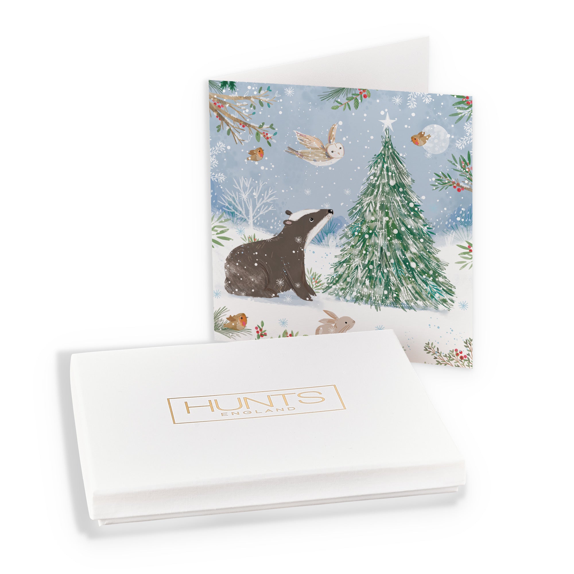 Boxed Open Single Badger Family Fun Christmas Card Nature's Treasures - Default Title (B0D5YJVF2H)