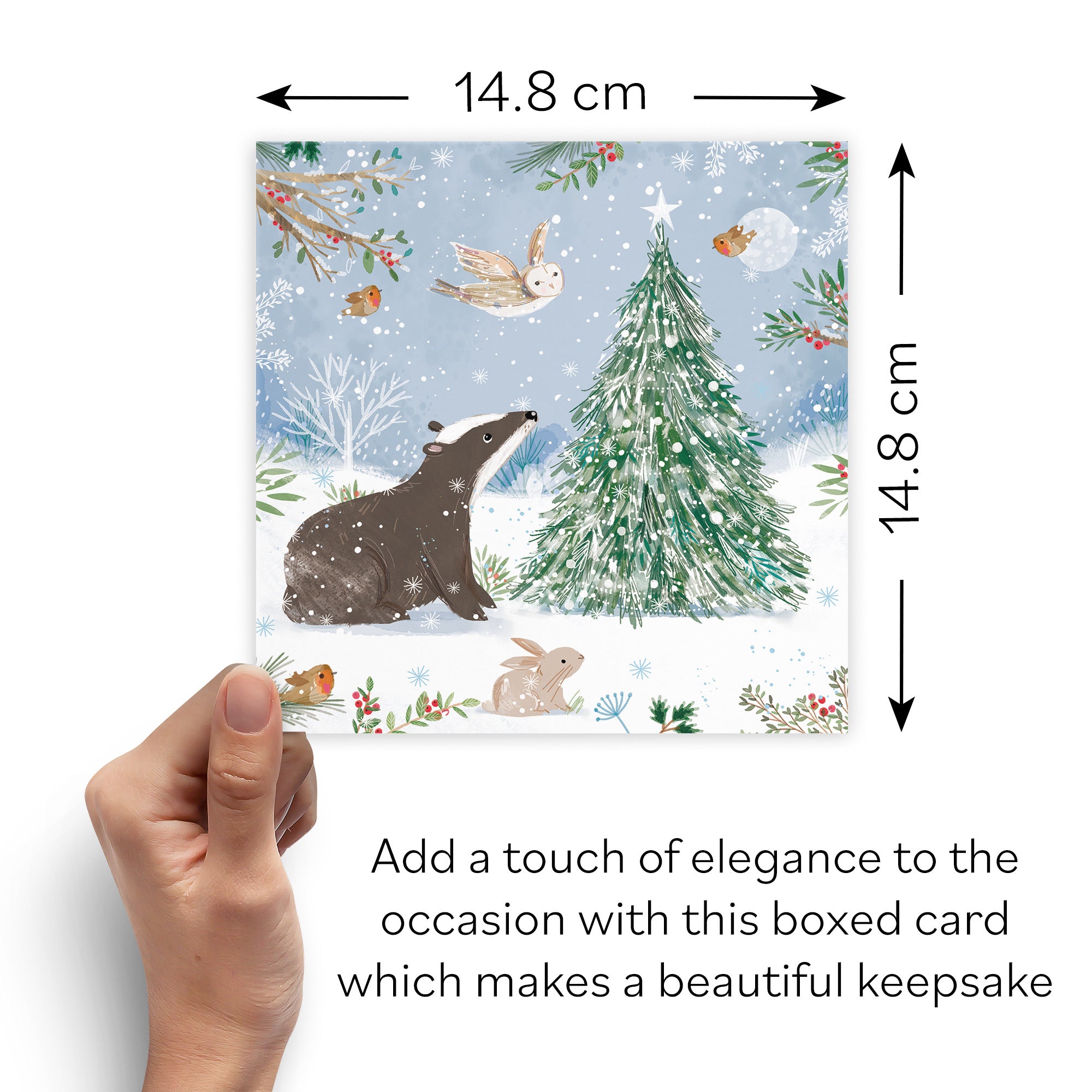 Boxed Open Single Badger Family Fun Christmas Card Nature's Treasures - Default Title (B0D5YJVF2H)