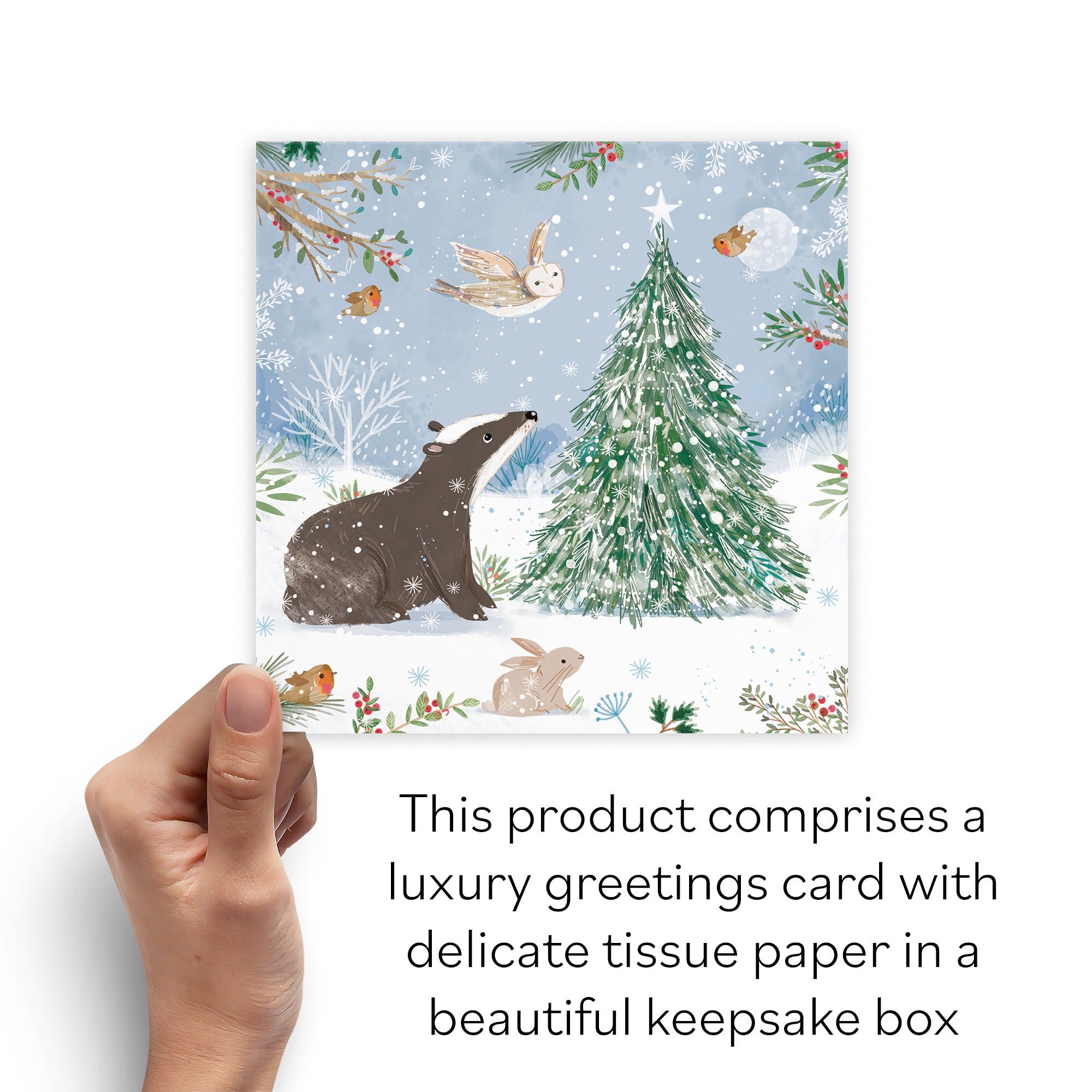 Boxed Open Single Badger Family Fun Christmas Card Nature's Treasures - Default Title (B0D5YJVF2H)