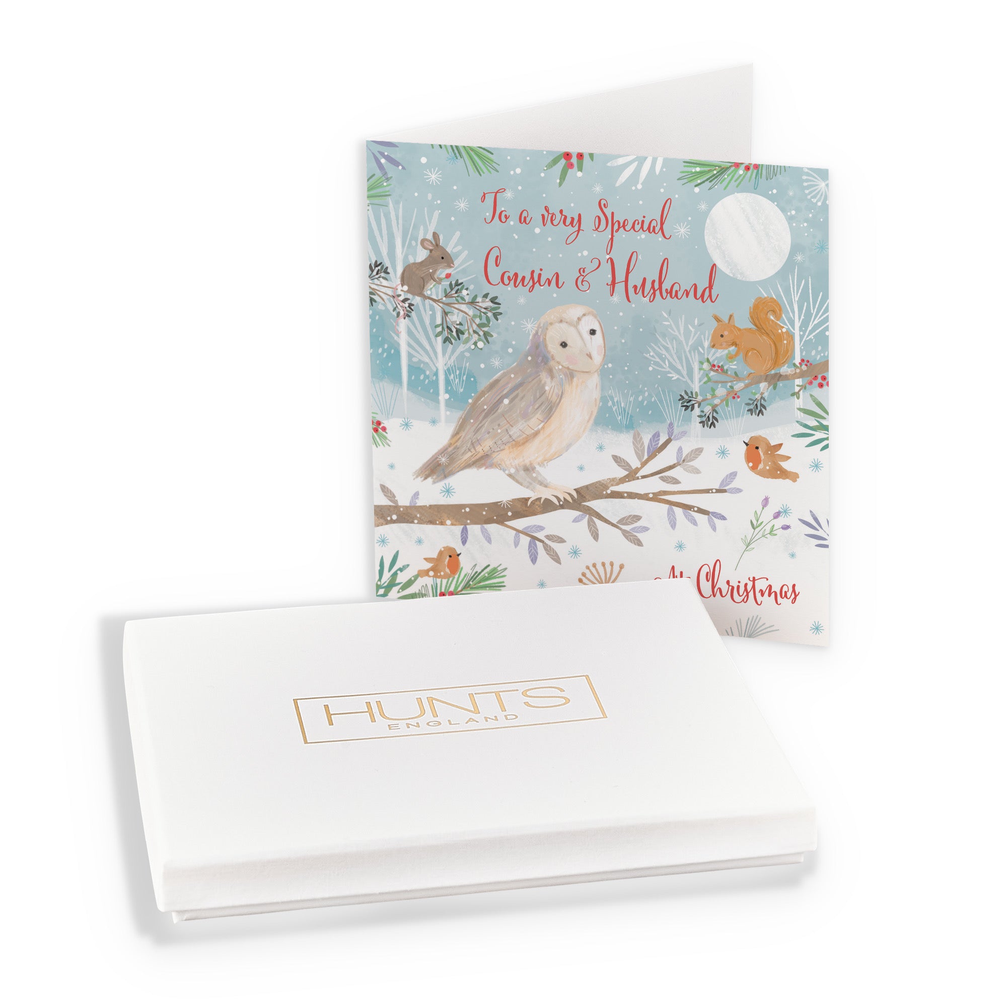 Boxed Cousin And Husband Cute Owl Christmas Card Nature's Treasures - Default Title (B0D5YKXBYF)