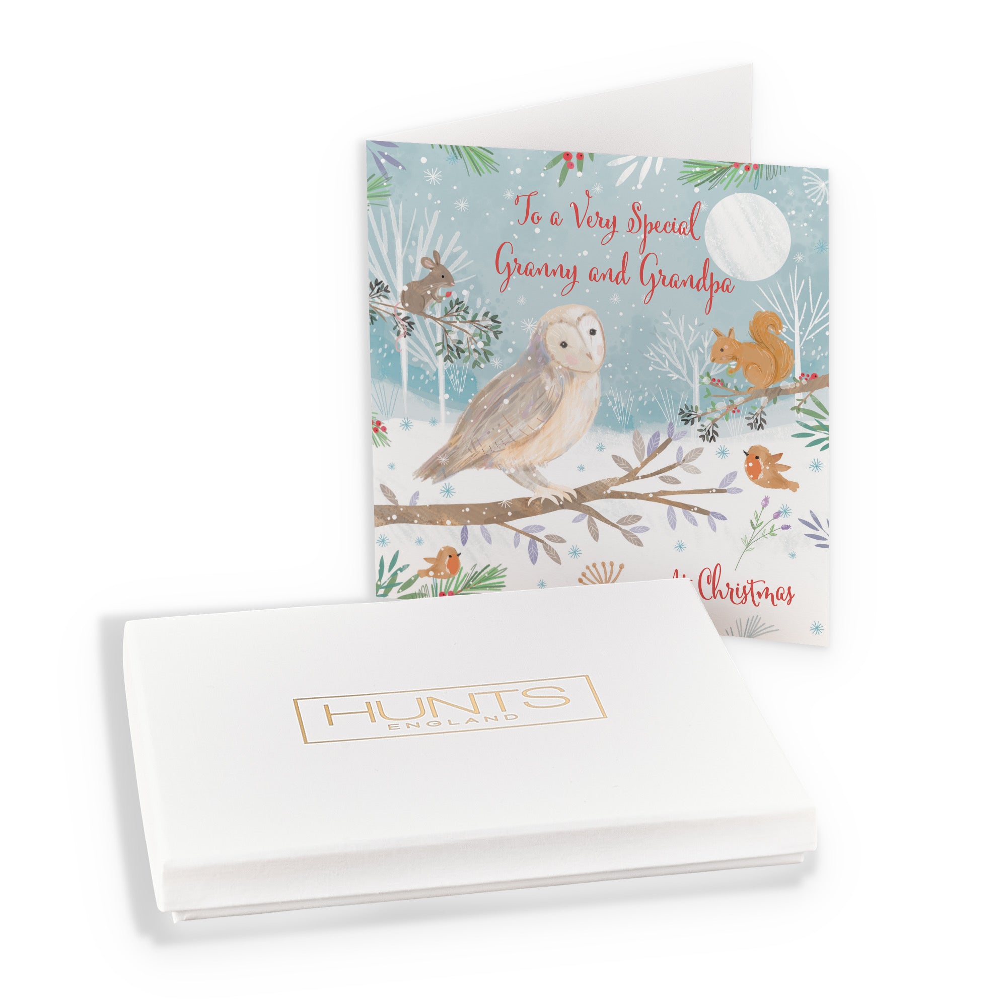 Boxed Granny And Grandpa Cute Owl Christmas Card Nature's Treasures - Default Title (B0D5YL6RHV)