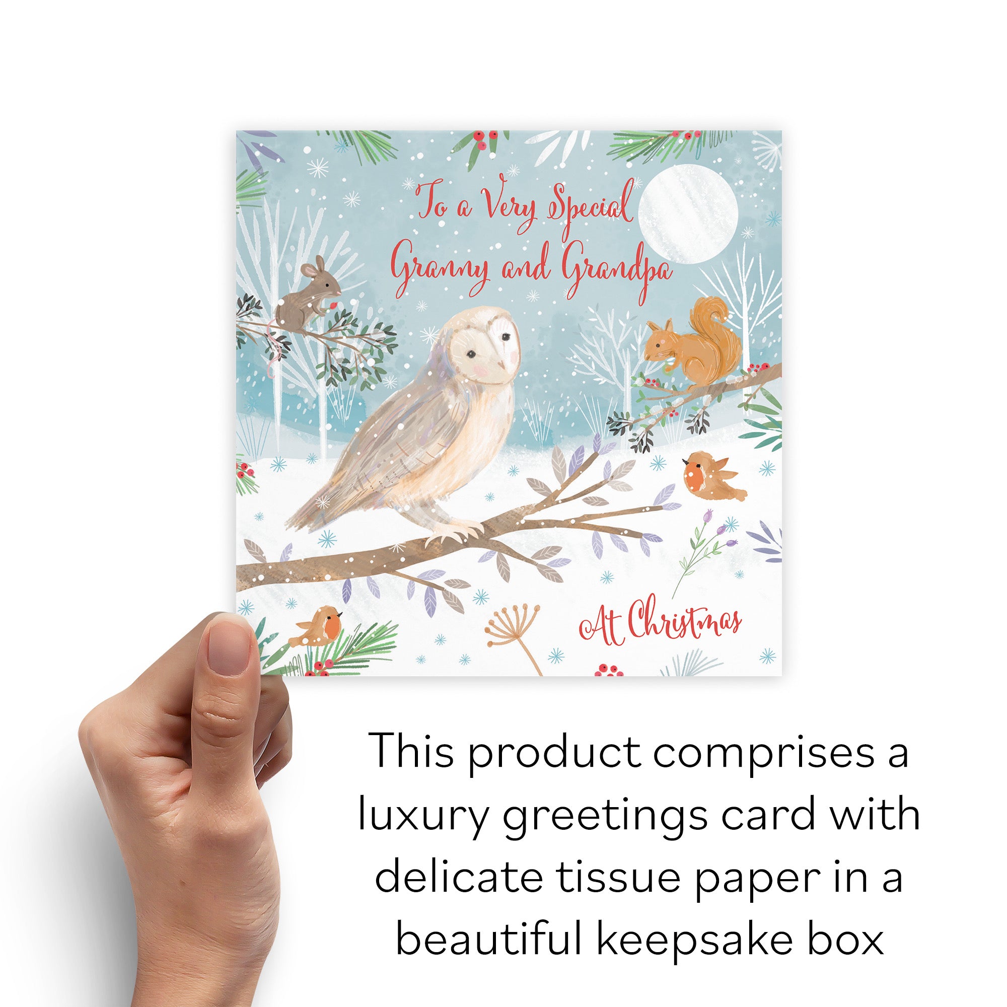 Boxed Granny And Grandpa Cute Owl Christmas Card Nature's Treasures - Default Title (B0D5YL6RHV)