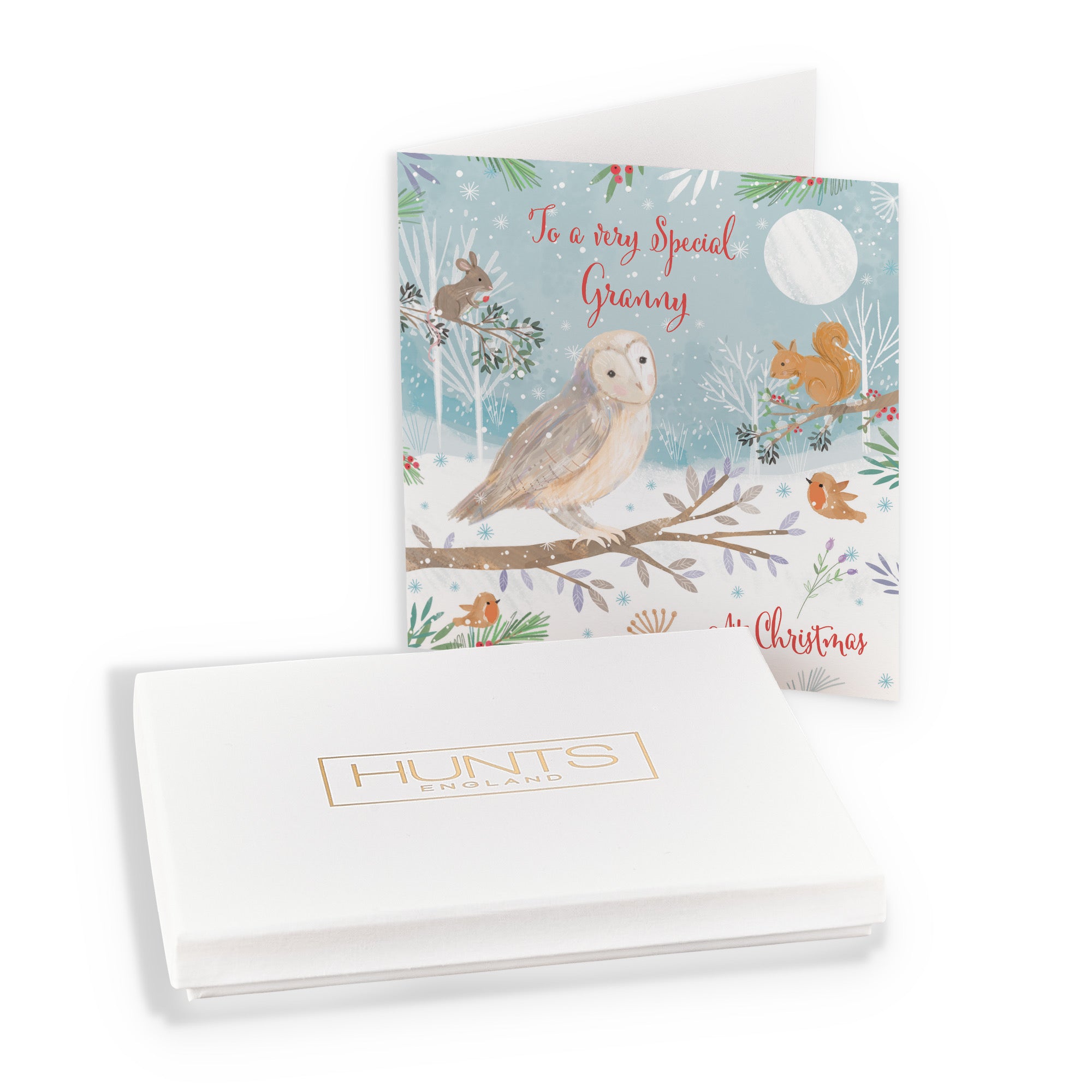 Boxed Granny Cute Owl Christmas Card Nature's Treasures - Default Title (B0D5YLPP81)