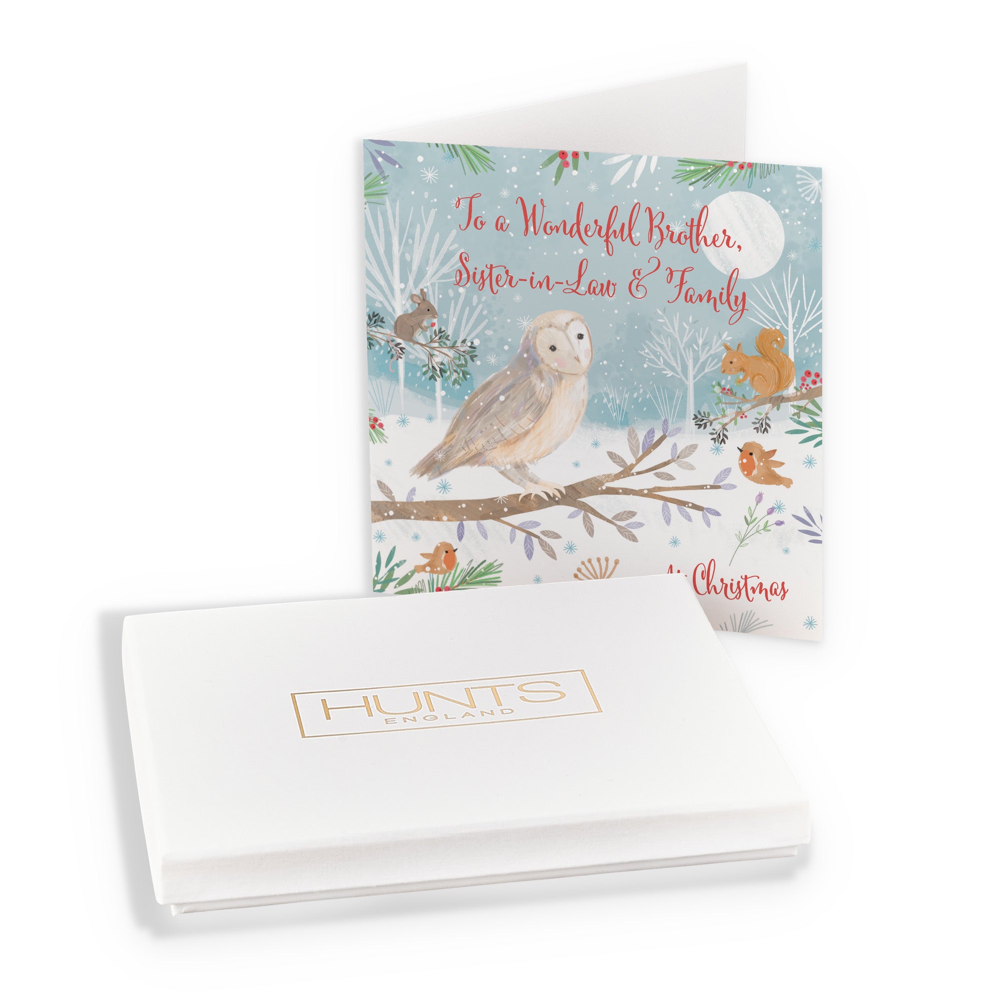 Boxed Brother, Sister In Law And Family Cute Owl Christmas Card Nature's Treasures - Default Title (B0D5YLQCGL)