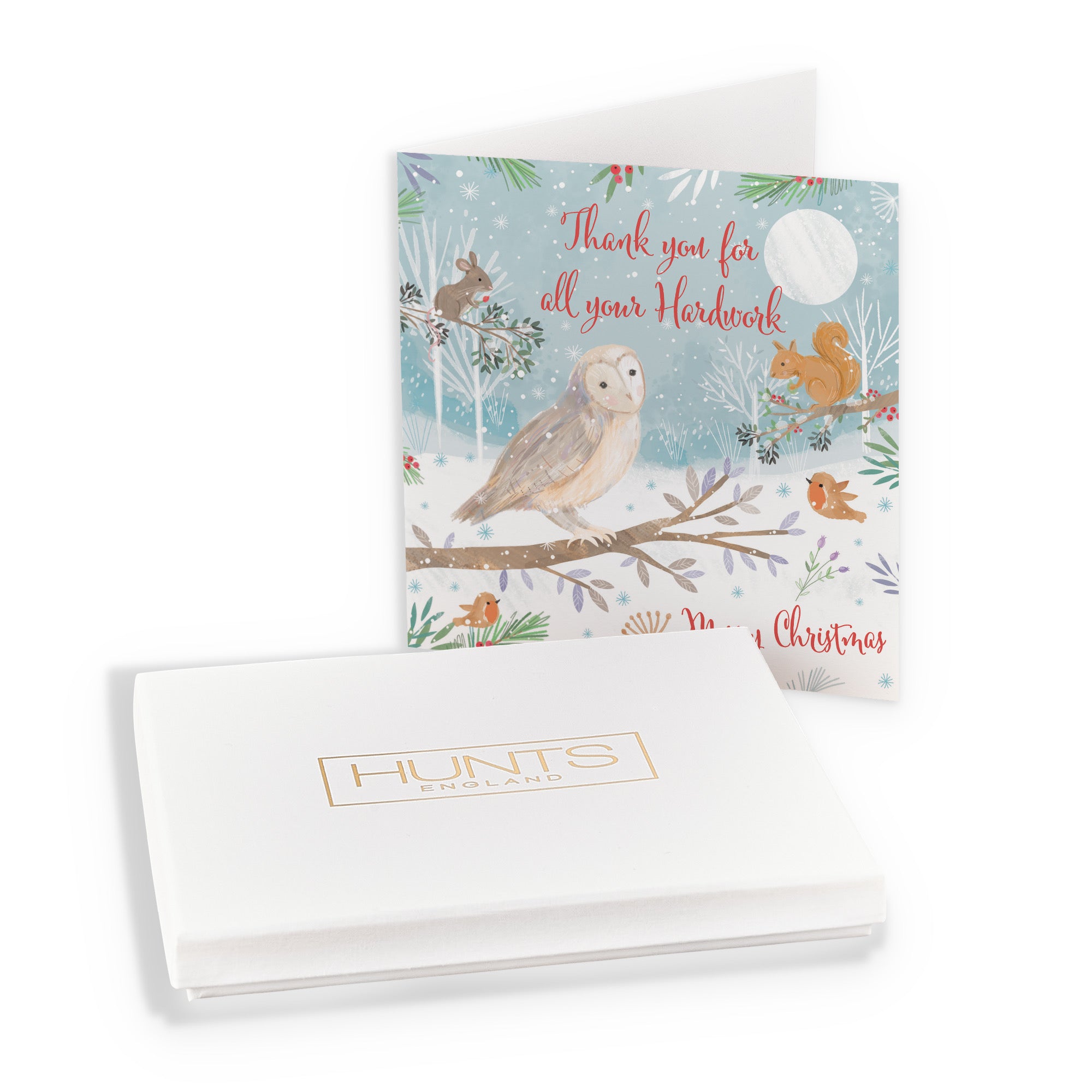 Boxed Thank You For All Your Hardwork Cute Owl Christmas Card Nature's Treasures - Default Title (B0D5YLT618)