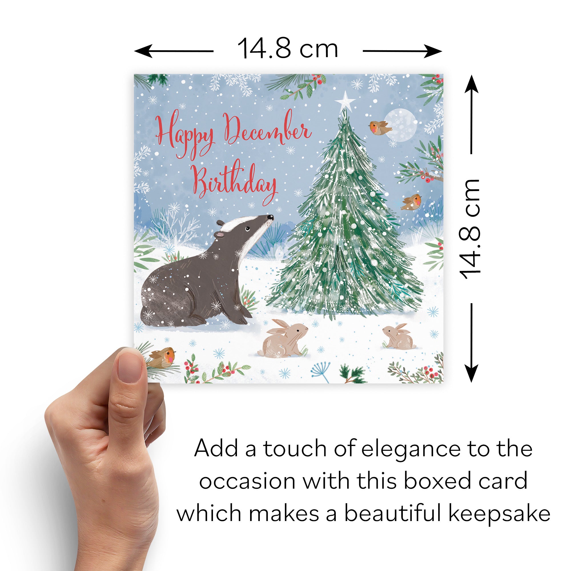 Boxed Badger December Birthday Card Nature's Treasures - Default Title (B0D5YLZWQX)