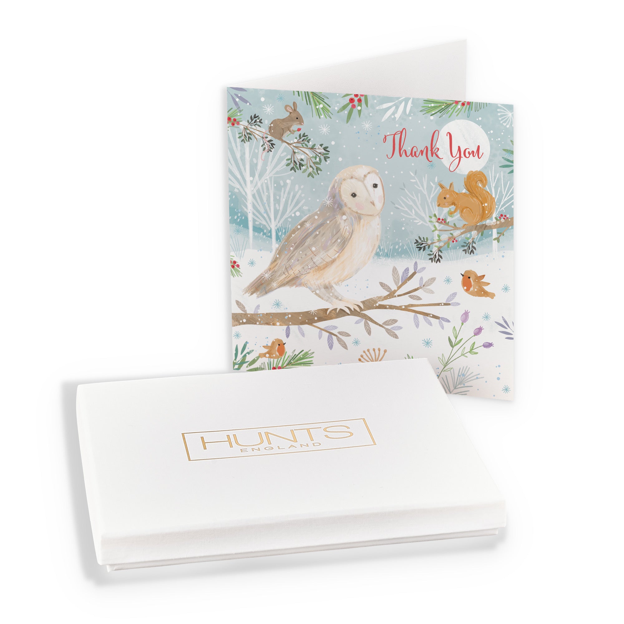 Boxed Thank You Cute Owl Christmas Card Nature's Treasures - Default Title (B0D5YM1CQ3)