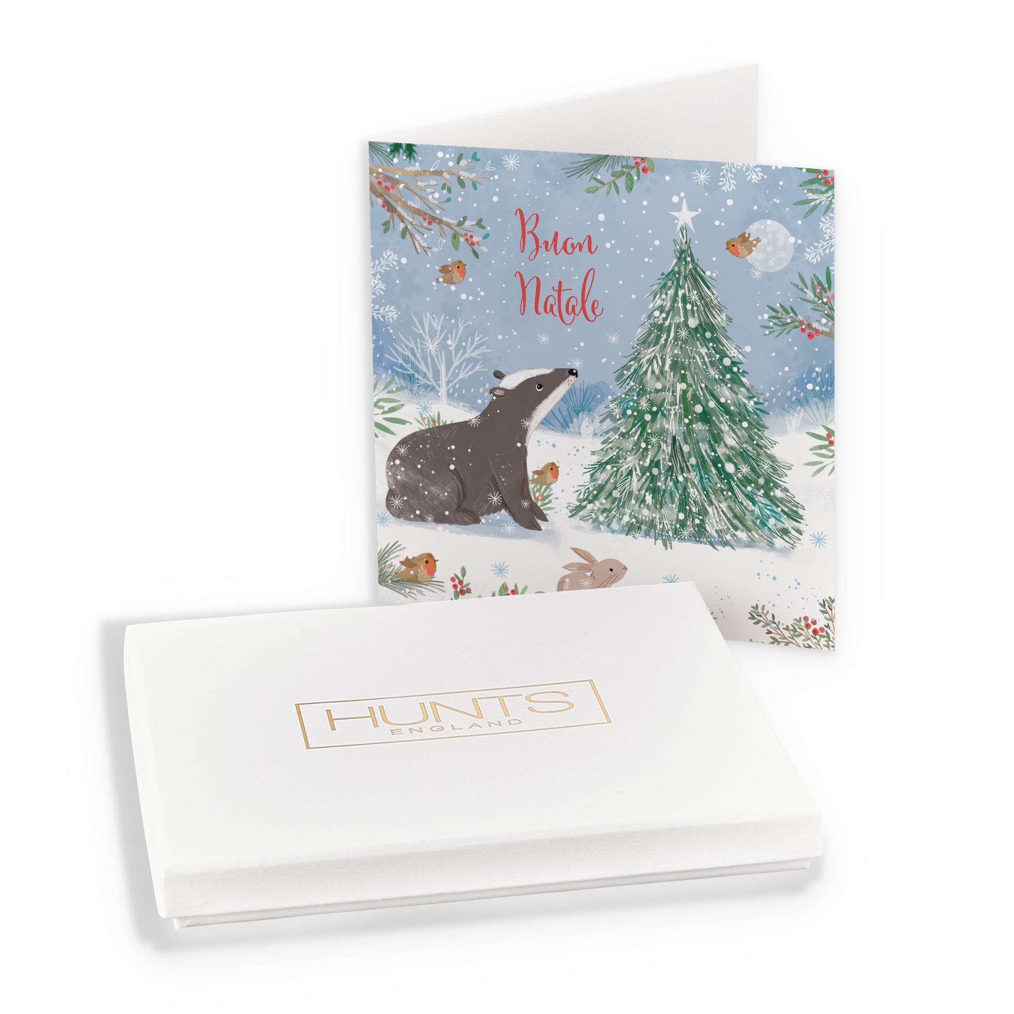 Boxed Badger Italian Language Christmas Card Nature's Treasures - Default Title (B0D5YM595T)