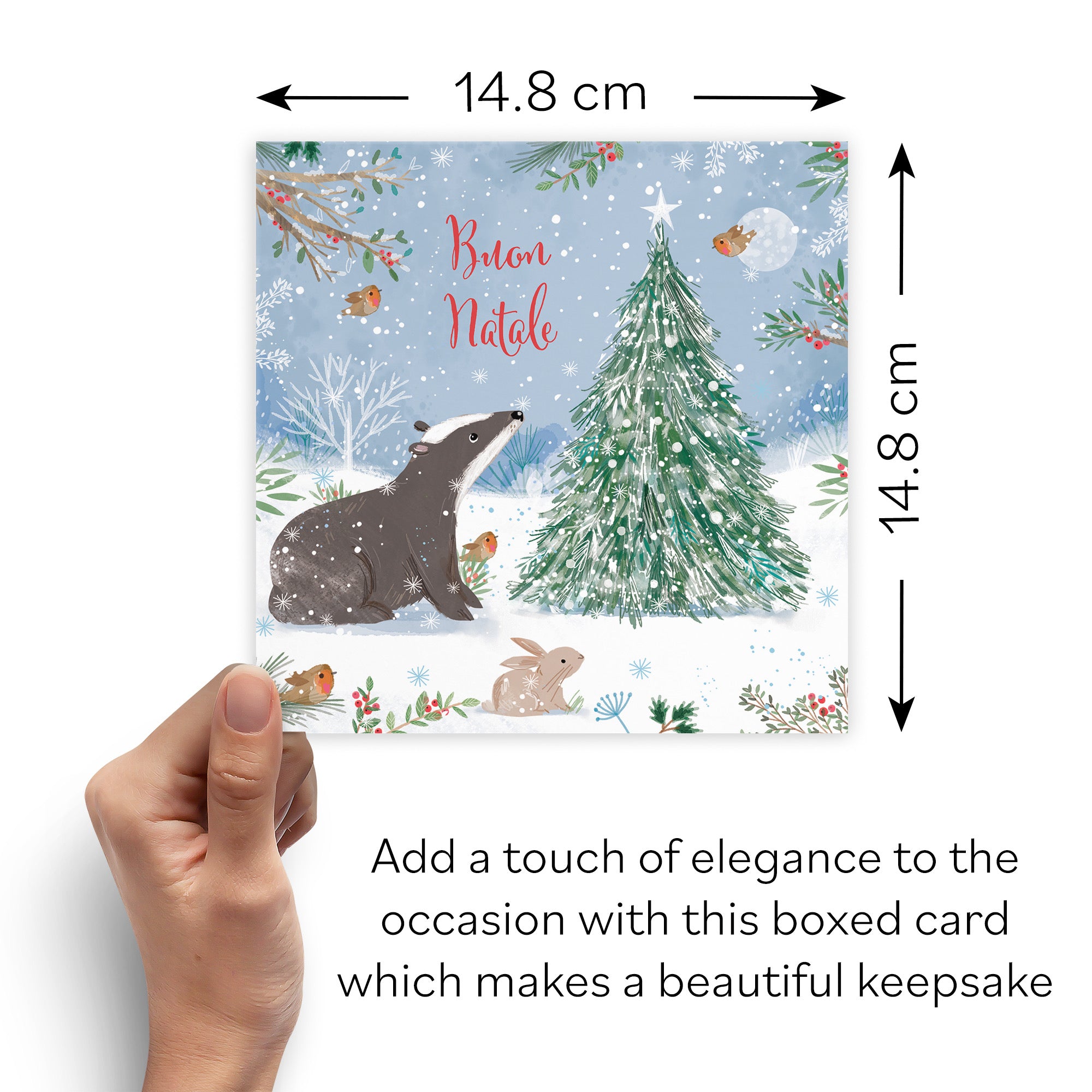 Boxed Badger Italian Language Christmas Card Nature's Treasures - Default Title (B0D5YM595T)