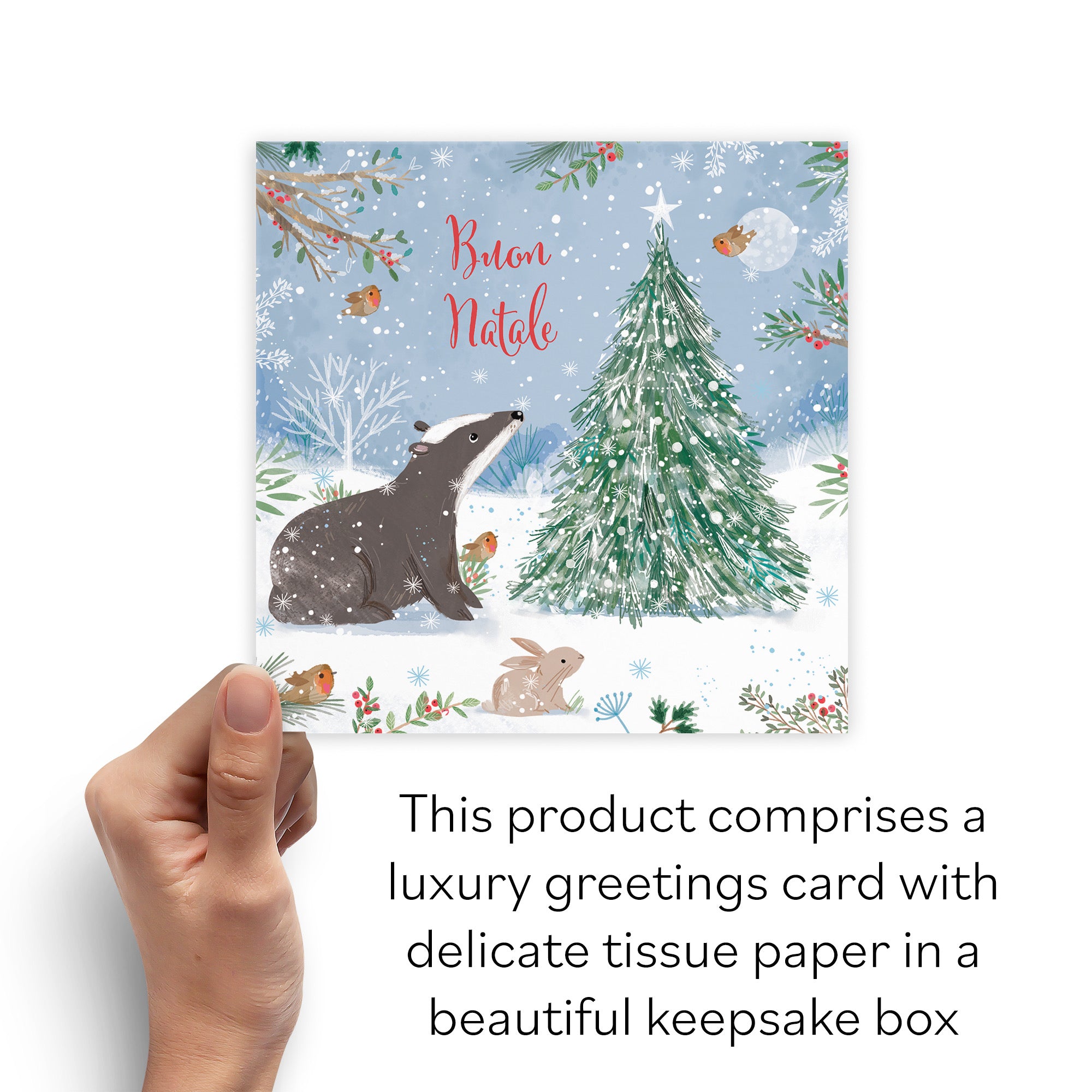 Boxed Badger Italian Language Christmas Card Nature's Treasures - Default Title (B0D5YM595T)