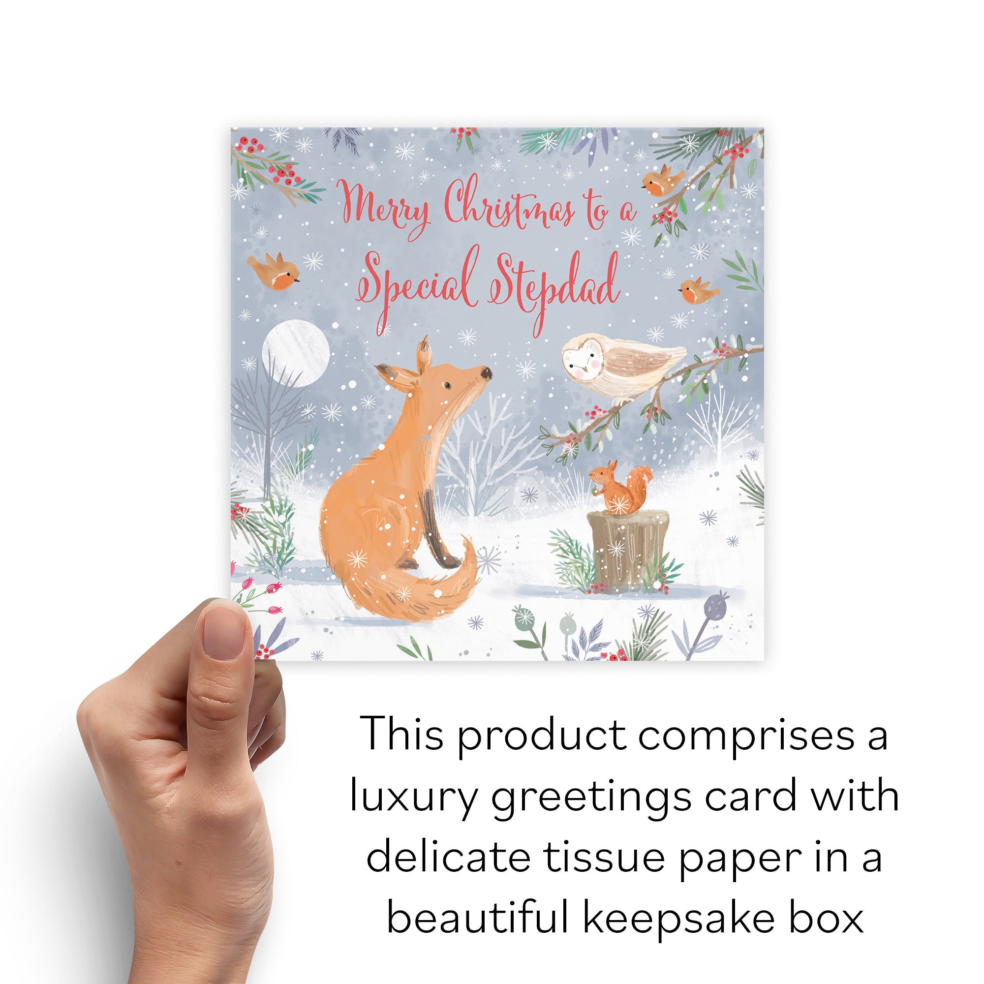 Boxed Stepdad Cute Fox Christmas Card Nature's Treasures - Default Title (B0D5YM6XVK)