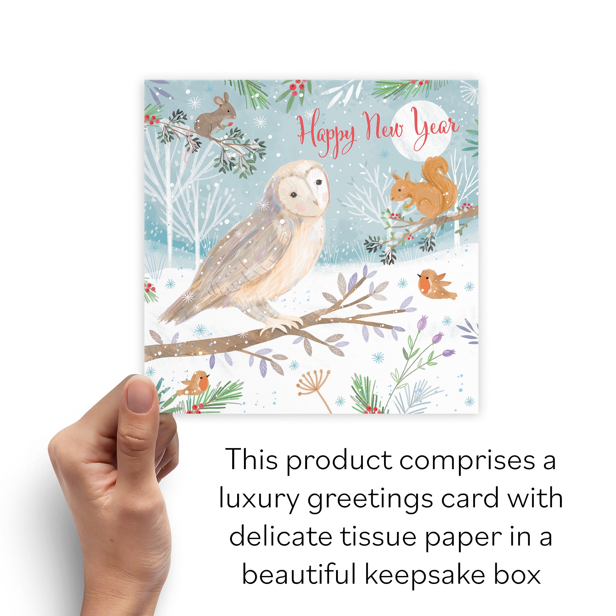 Boxed Happy New Year Cute Owl Card Nature's Treasures - Default Title (B0D5YMBF28)