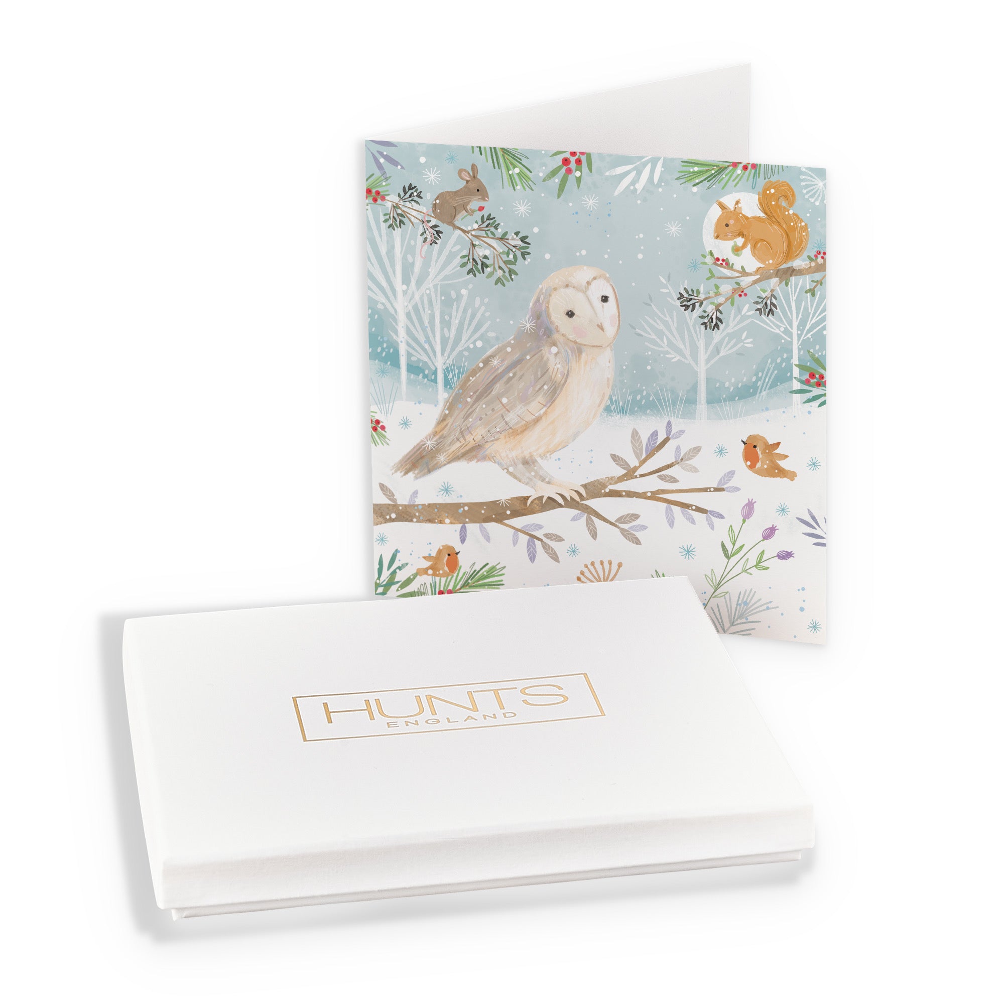 Boxed Open Single Owl Family Fun Christmas Card Nature's Treasures - Default Title (B0D5YMNCP1)