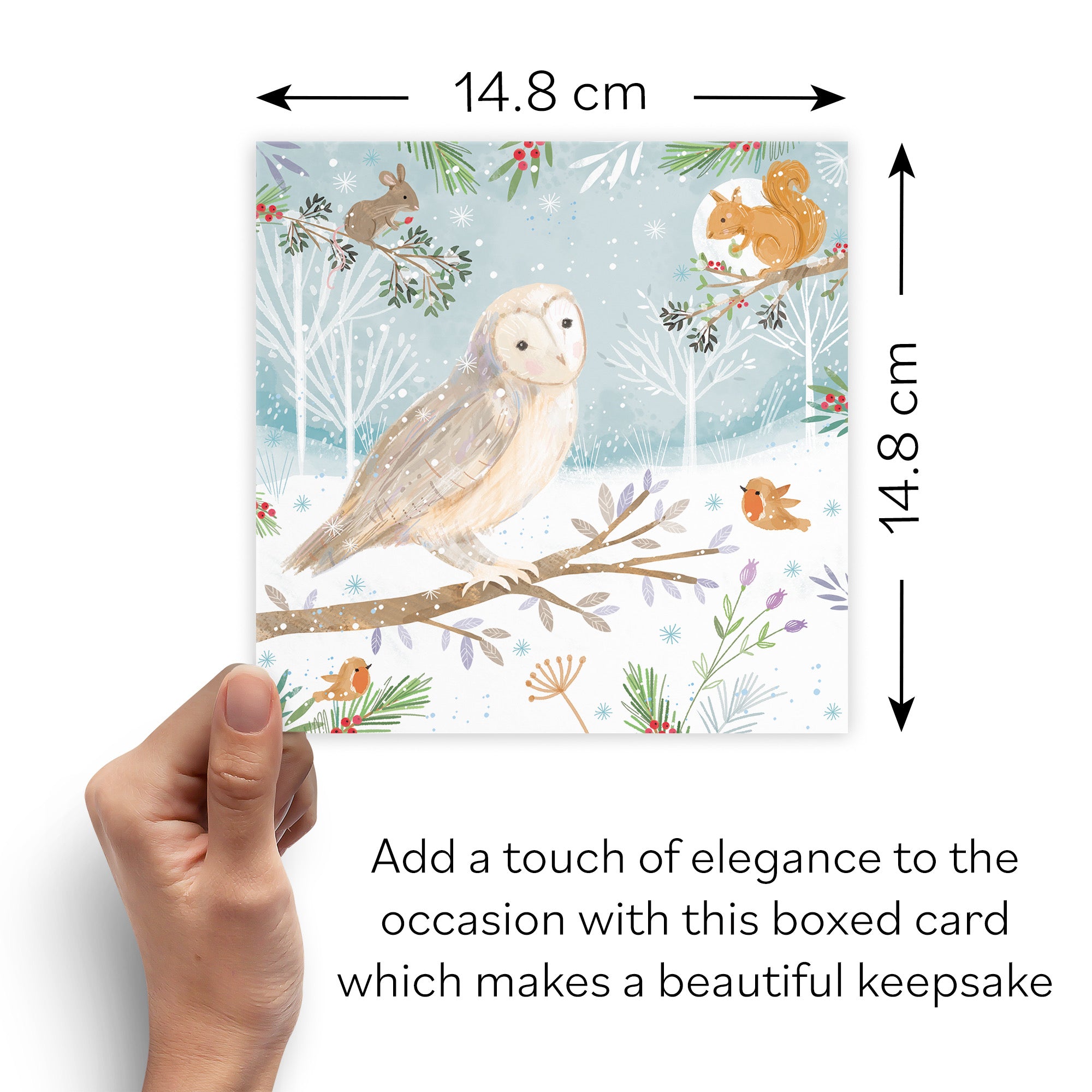 Boxed Open Single Owl Family Fun Christmas Card Nature's Treasures - Default Title (B0D5YMNCP1)