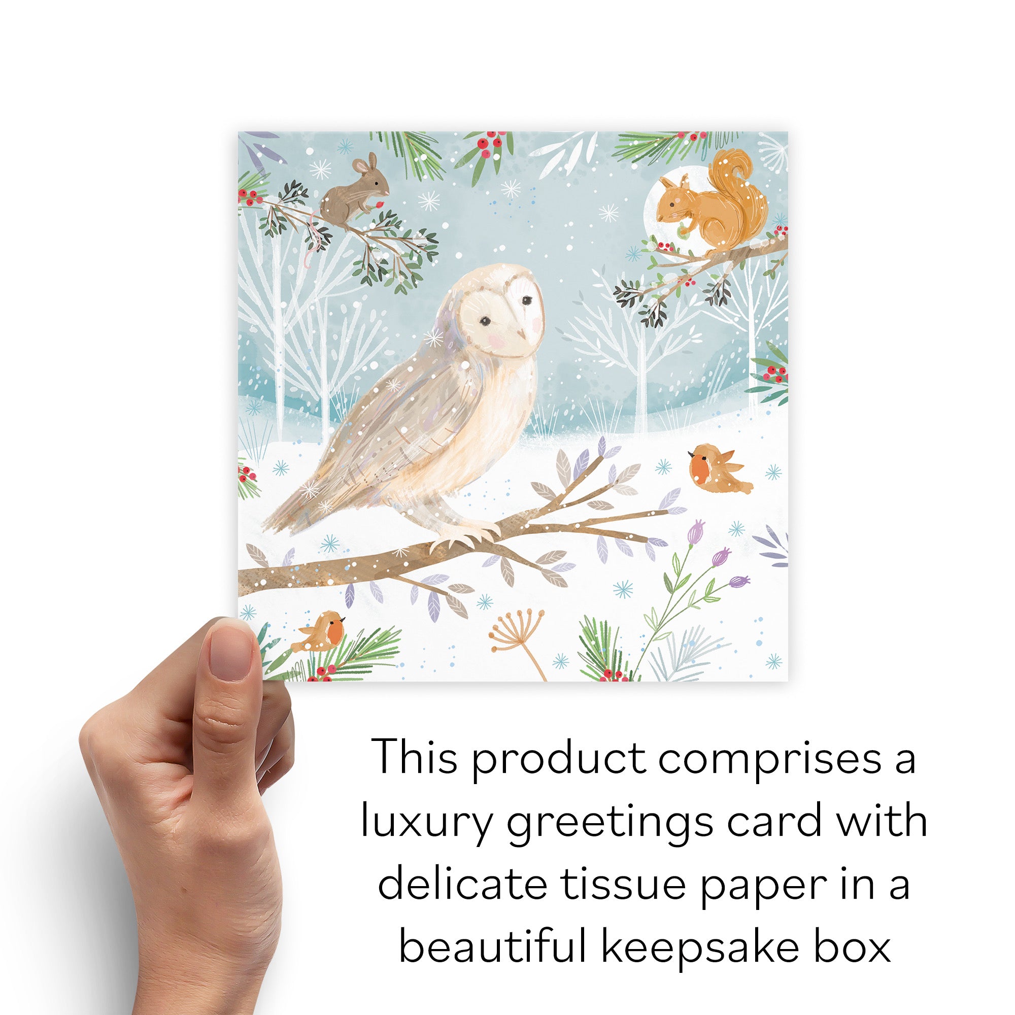 Boxed Open Single Owl Family Fun Christmas Card Nature's Treasures - Default Title (B0D5YMNCP1)