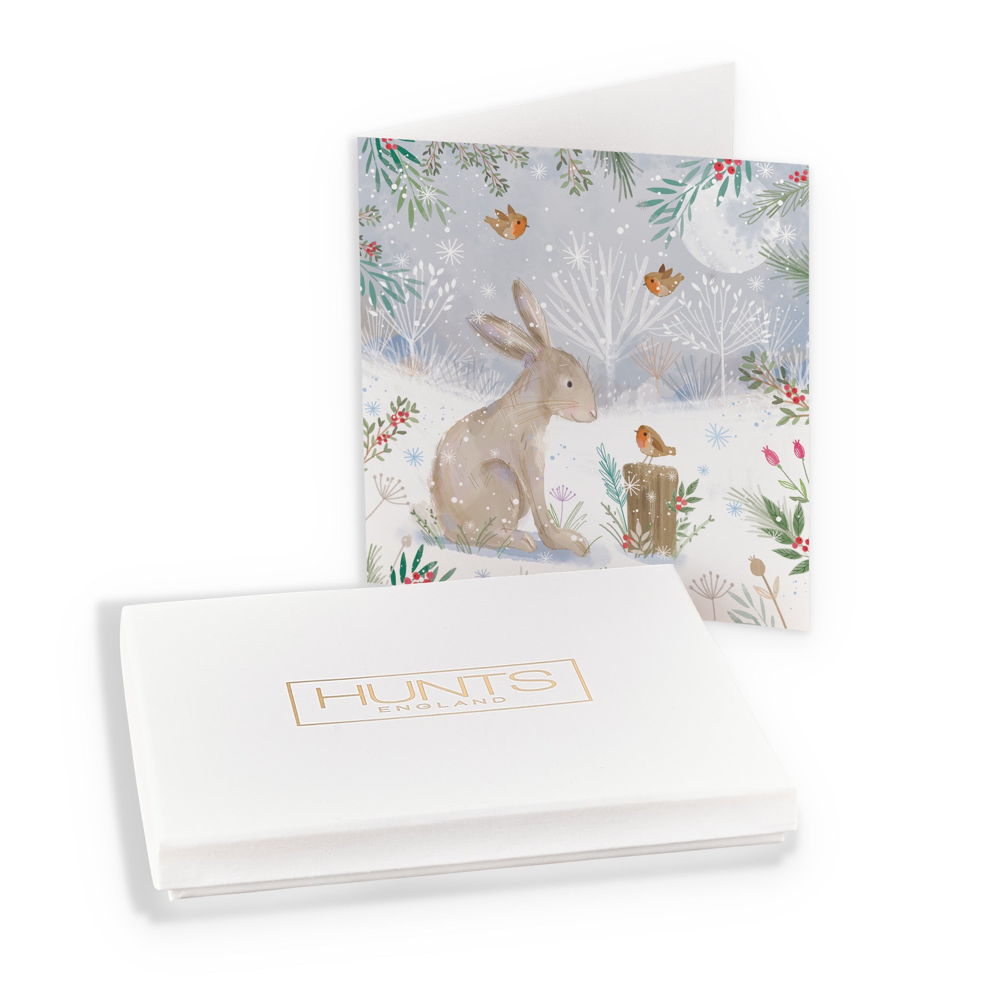 Boxed Open Single Hare Family Fun Christmas Card Nature's Treasures - Default Title (B0D5YN2KQN)