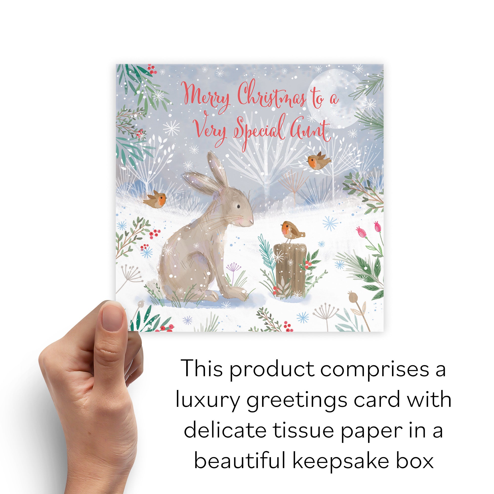 Boxed Aunt Hare Christmas Card Nature's Treasures - Default Title (B0D5YNBMGH)