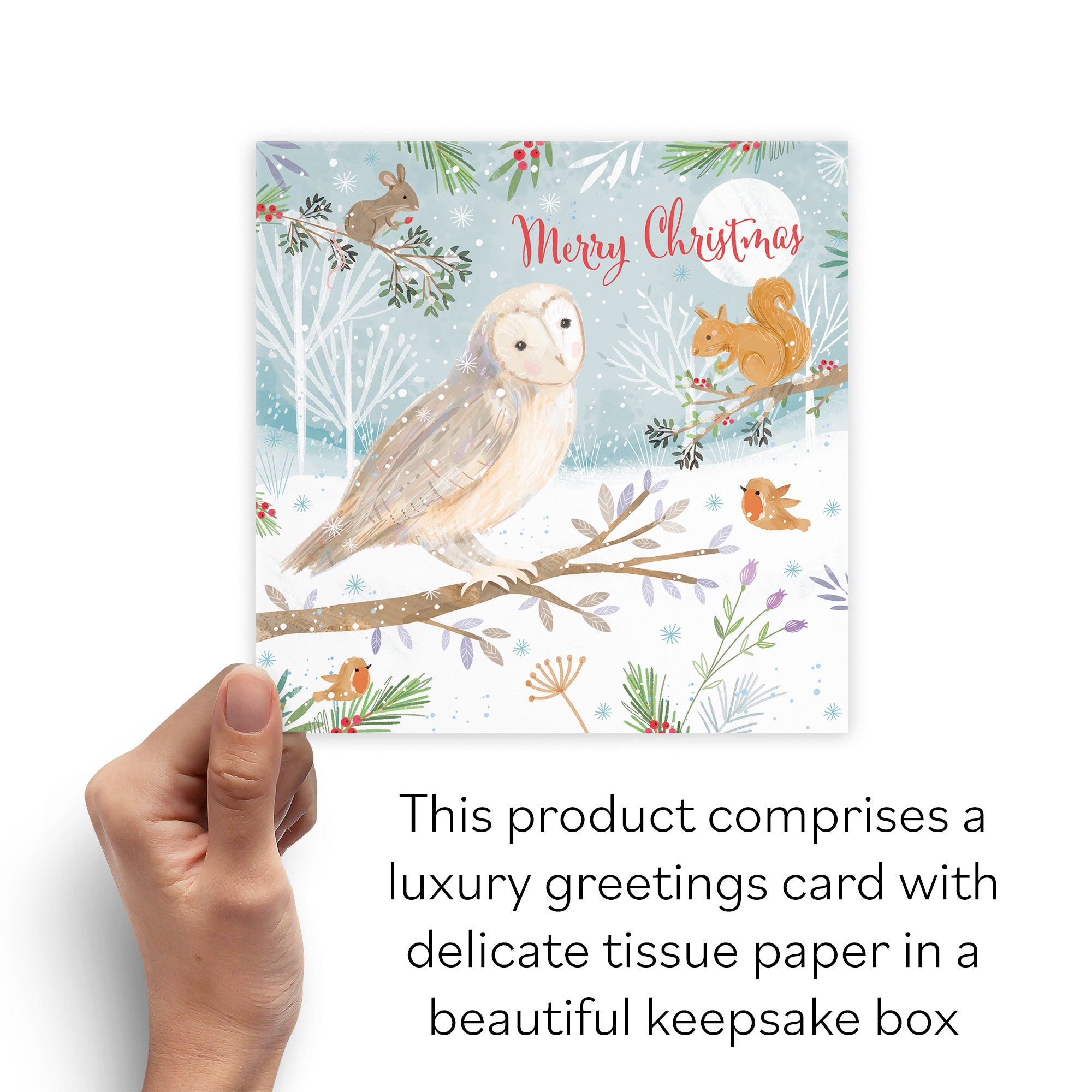 Boxed Open Single Merry Christmas Owl Family Fun Card Nature's Treasures - Default Title (B0D5YNFFS8)