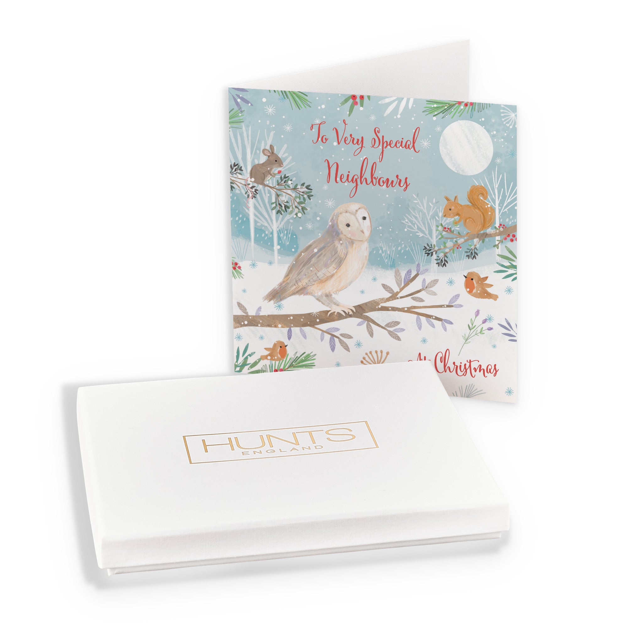 Boxed Neighbours Cute Owl Christmas Card Nature's Treasures - Default Title (B0D5YNS9VJ)