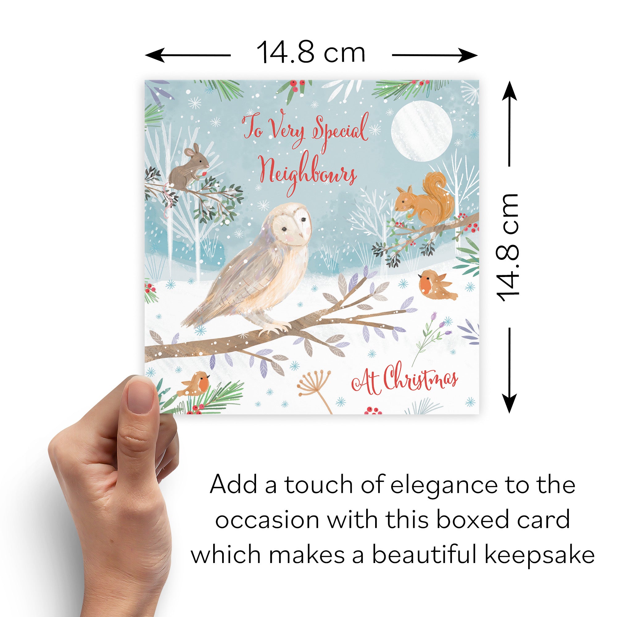 Boxed Neighbours Cute Owl Christmas Card Nature's Treasures - Default Title (B0D5YNS9VJ)