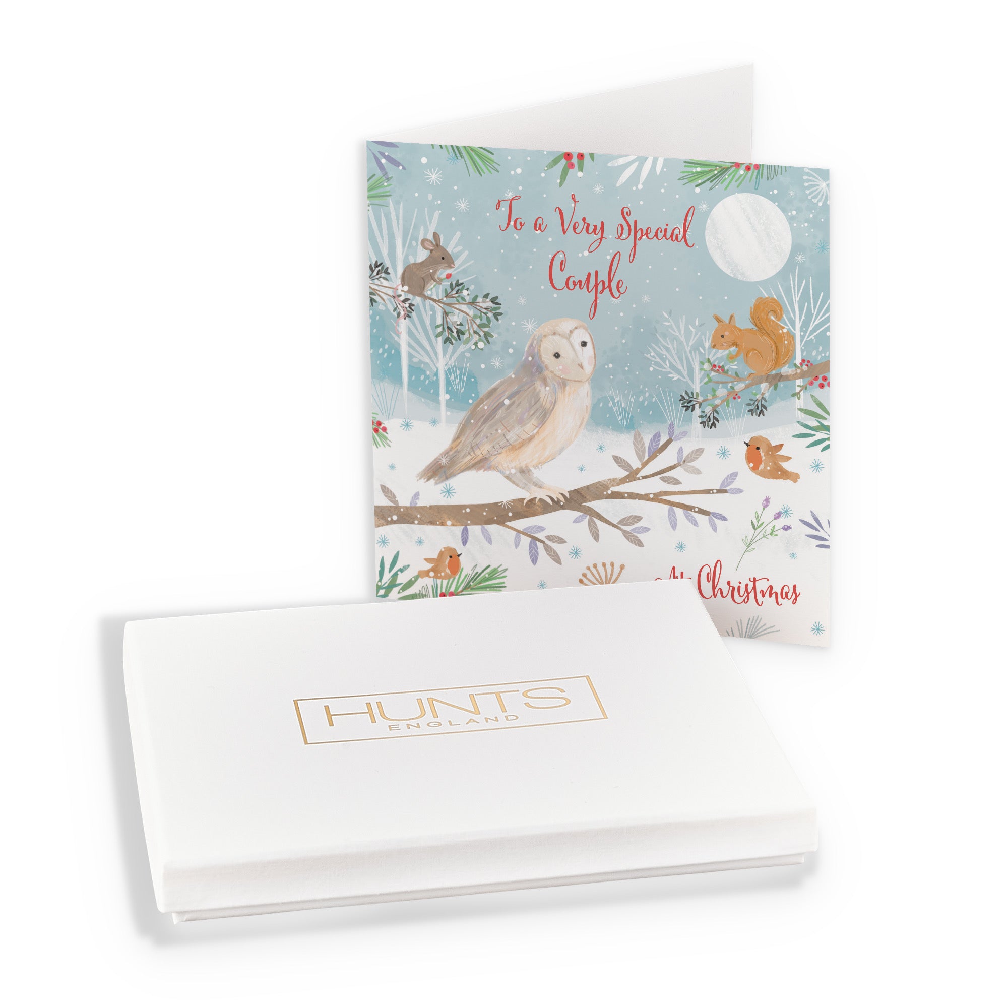 Boxed Very Special Couple Cute Owl Christmas Card Nature's Treasures - Default Title (B0D5YNT9H1)