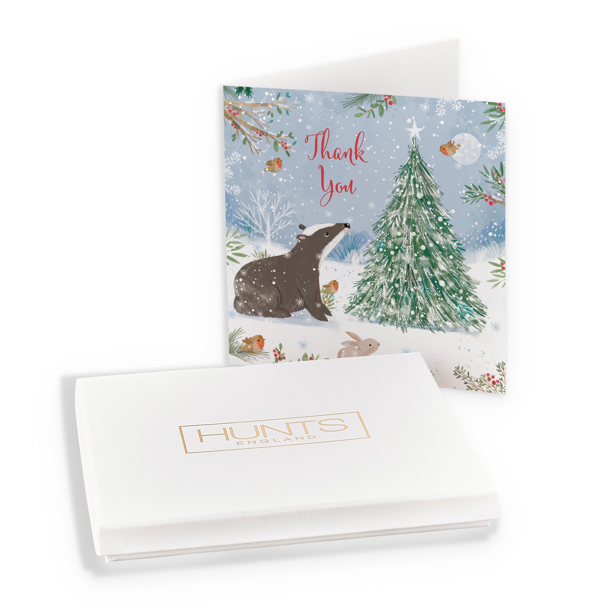 Boxed Thank You Cute Badger Christmas Card Nature's Treasures - Default Title (B0D5YNXY39)