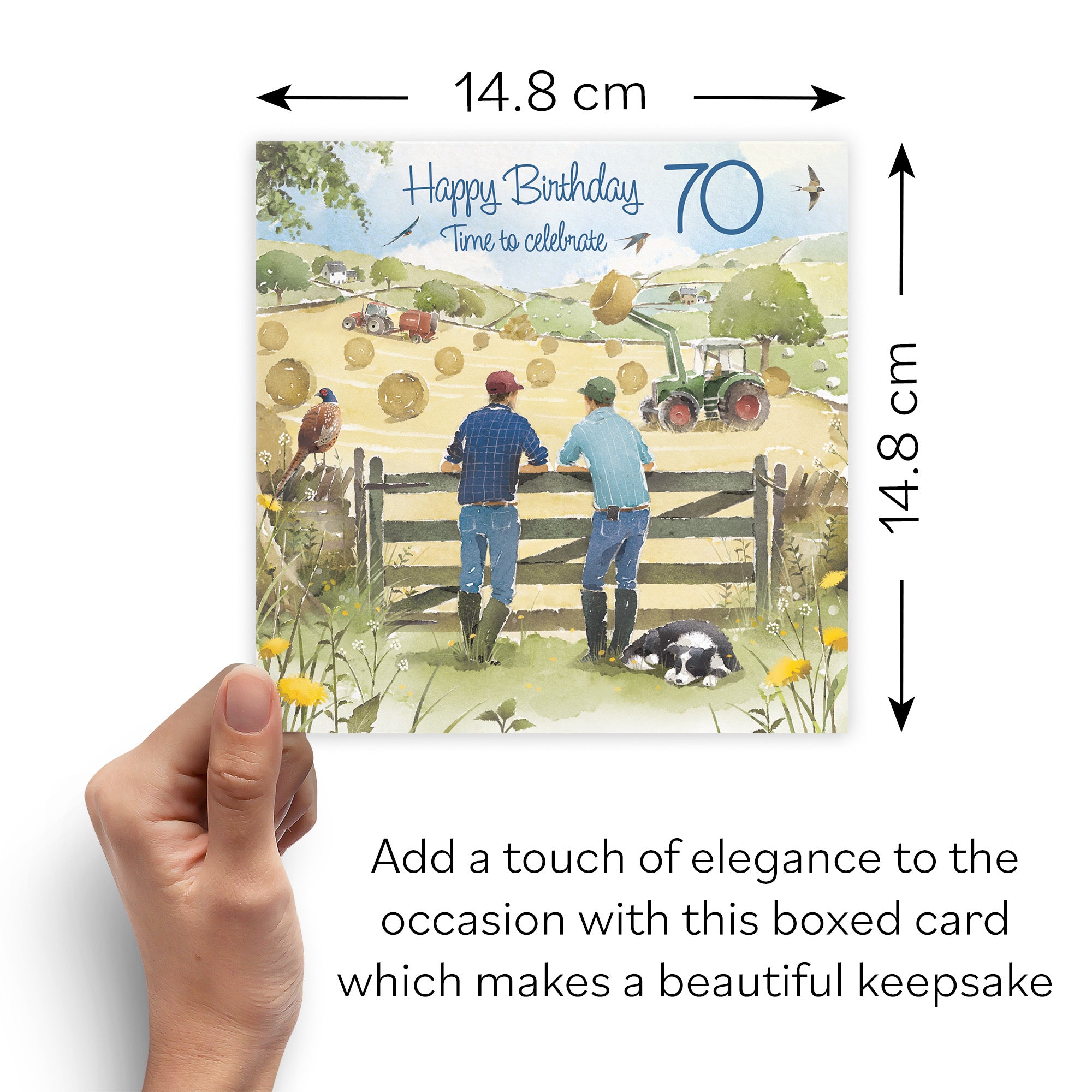 Boxed 70th Birthday Card Haymaking Milo's Gallery - Default Title (B0D5YT9TK2)