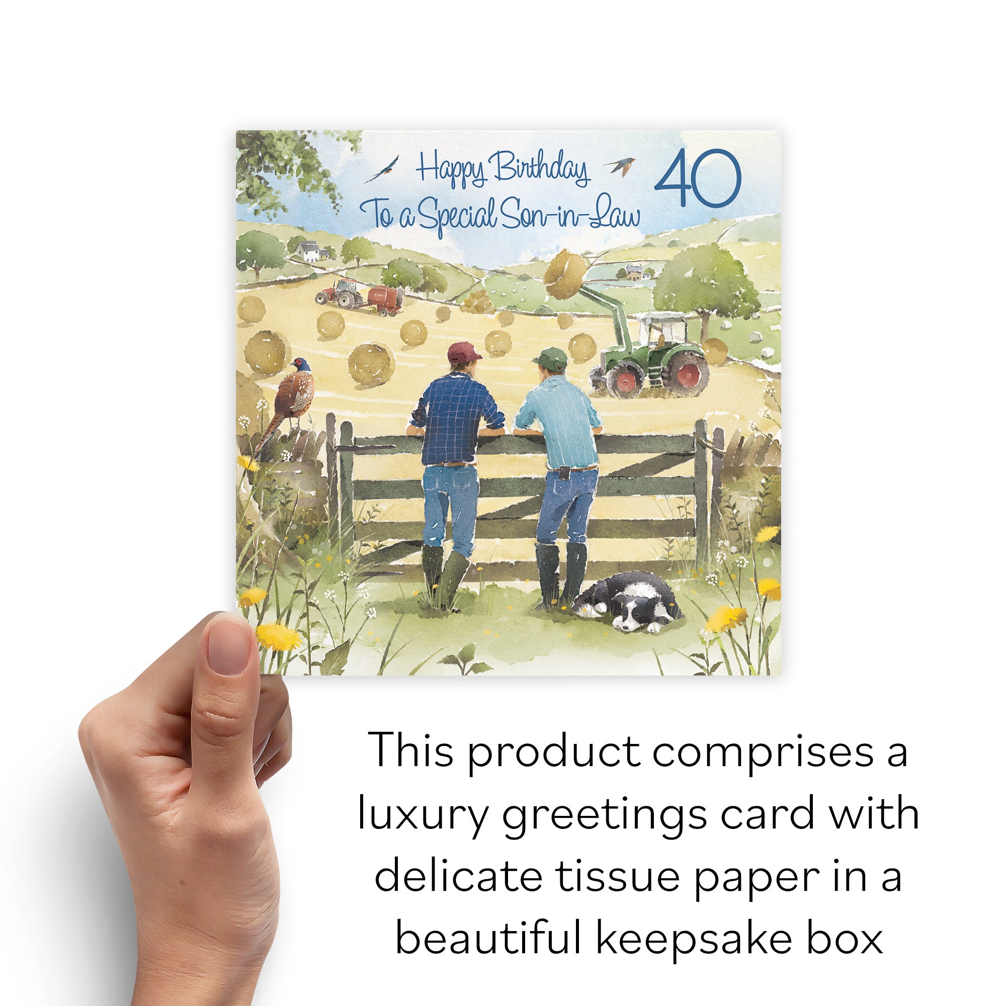 Boxed 40th Son-in-Law Birthday Card Haymaking Milo's Gallery - Default Title (B0D5YTV76W)