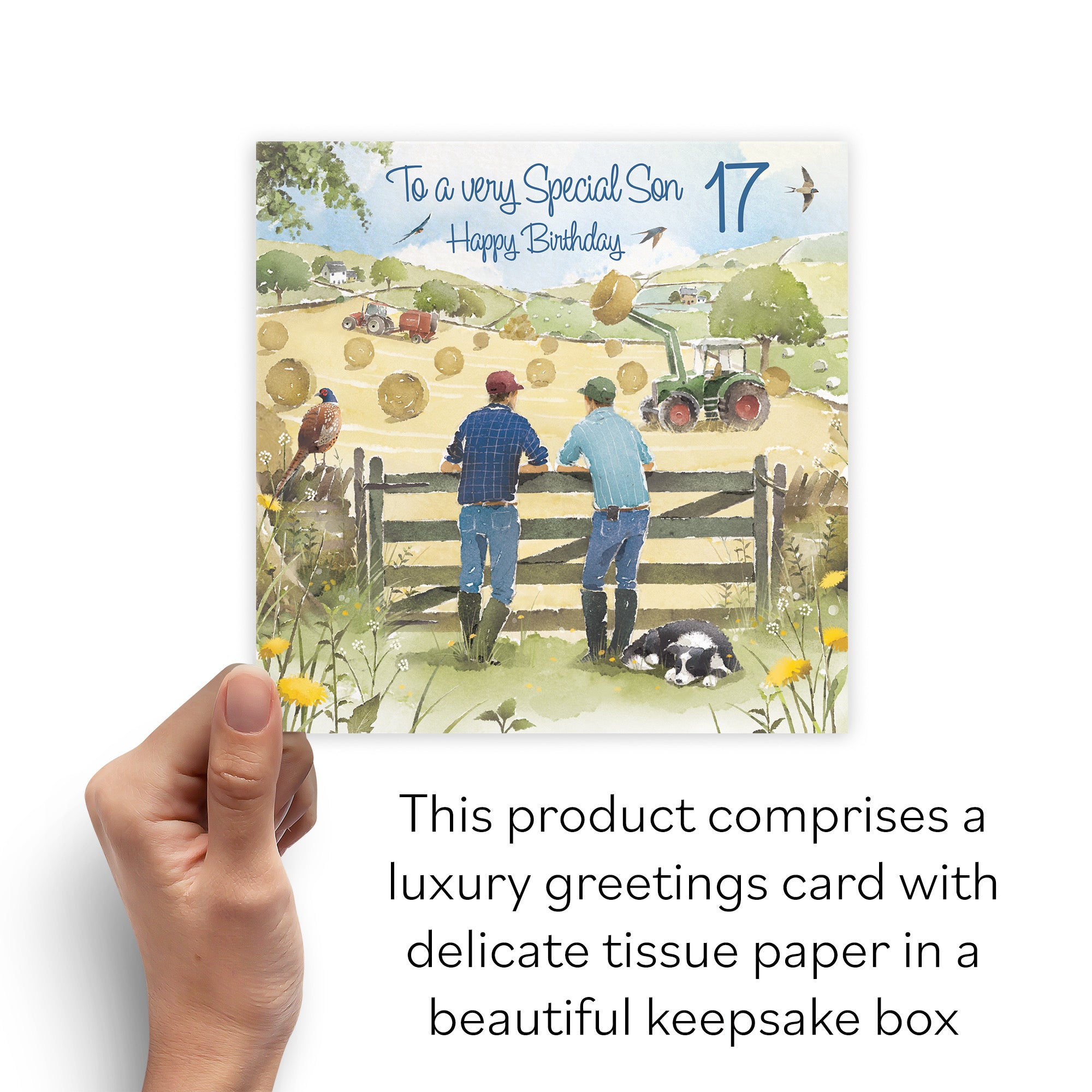 Boxed 17th Son Birthday Card Haymaking Milo's Gallery - Default Title (B0D5YVSK2P)