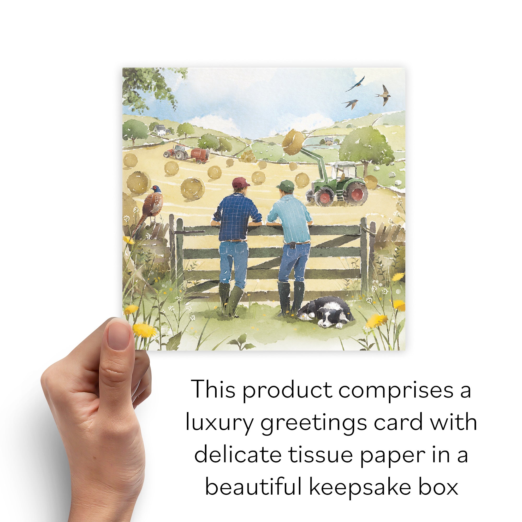 Boxed Blank Any Occasion Card Haymaking Milo's Gallery - Default Title (B0D5YW68TH)