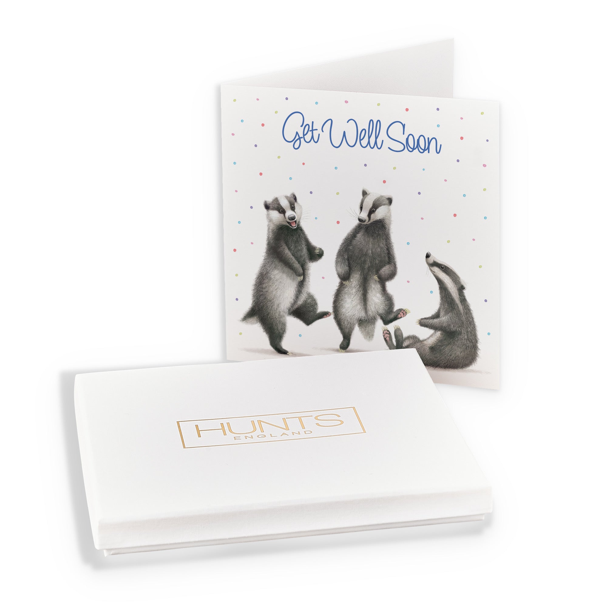 Boxed Badgers Get Well Soon Card Milo's Gallery - Default Title (B0D5YWB19N)