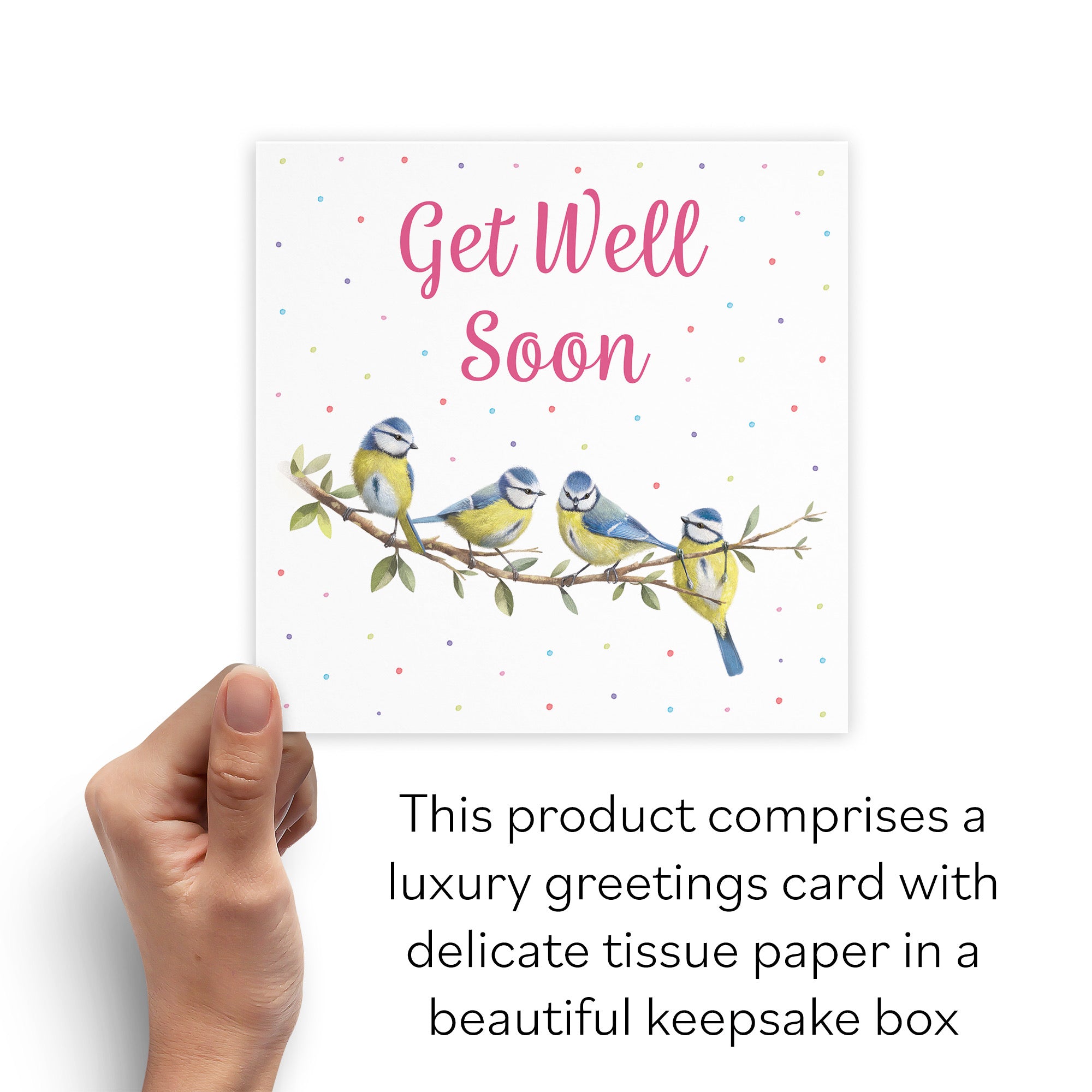 Boxed Blue Tits Get Well Soon Card Milo's Gallery - Default Title (B0D5YWM69F)