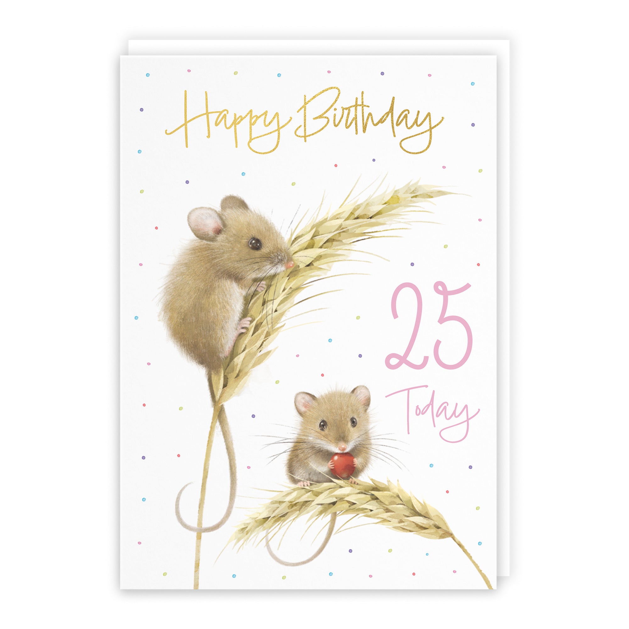 Female 25th Gold Foil Birthday Card Harvest Mice Milo's Gallery - Default Title (B0DG31B273)