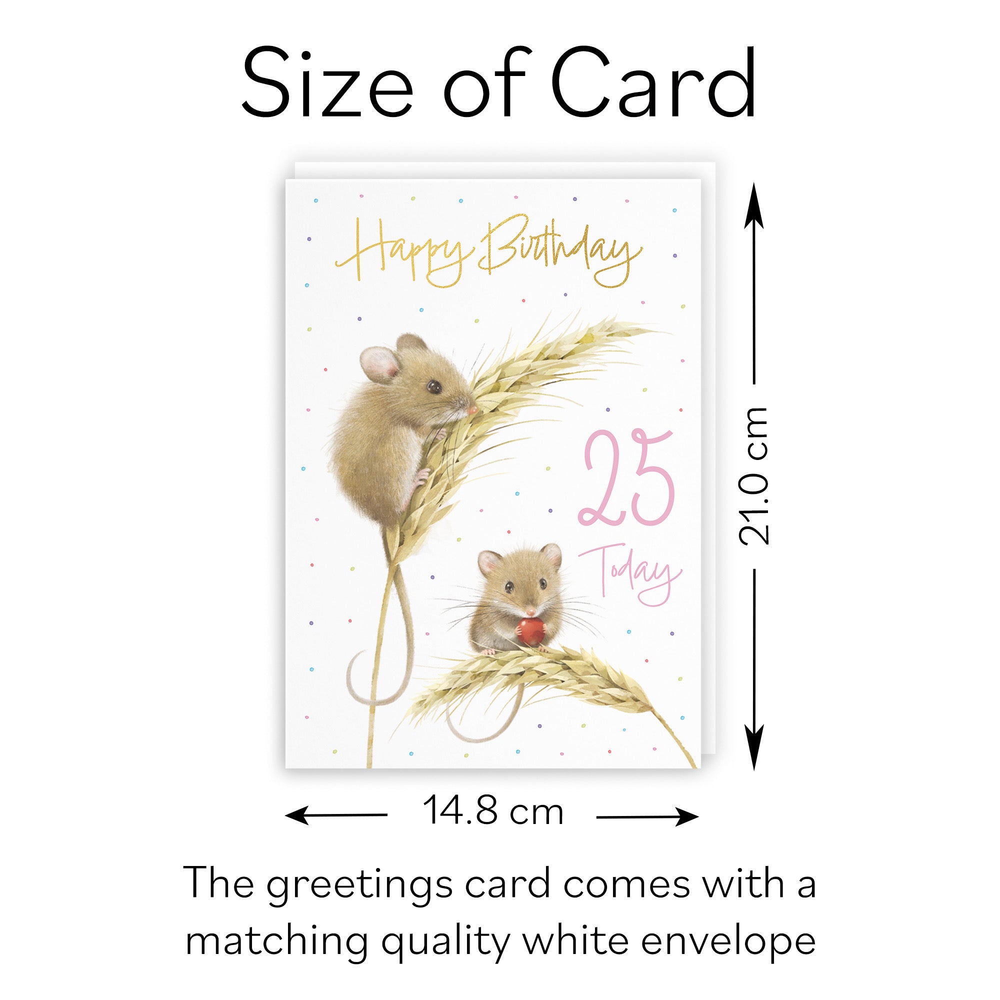 Female 25th Gold Foil Birthday Card Harvest Mice Milo's Gallery - Default Title (B0DG31B273)