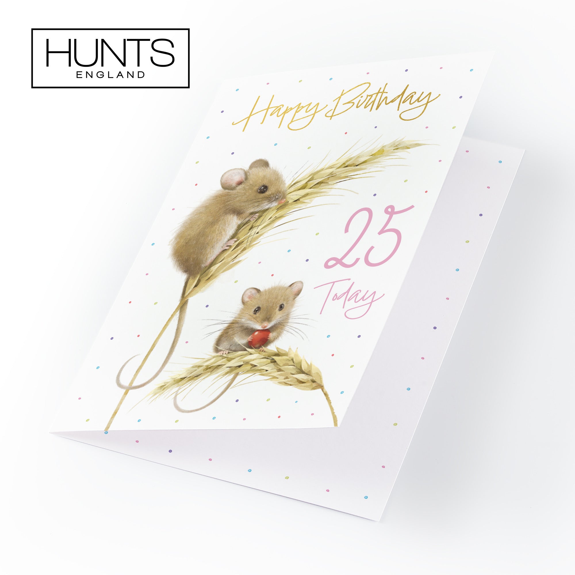 Female 25th Gold Foil Birthday Card Harvest Mice Milo's Gallery - Default Title (B0DG31B273)