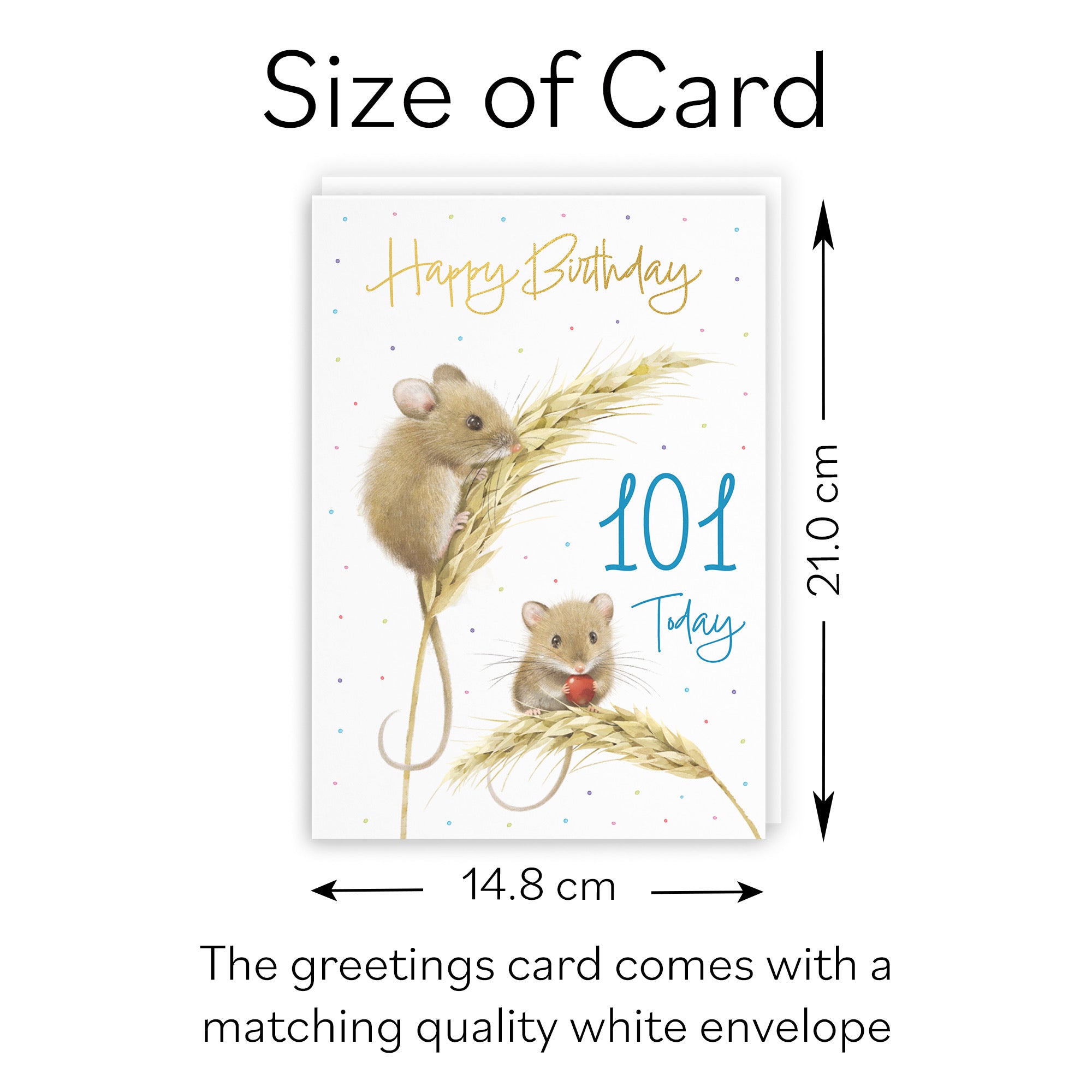 Male 101st Gold Foil Birthday Card Harvest Mice Milo's Gallery - Default Title (B0DG328KJ7)