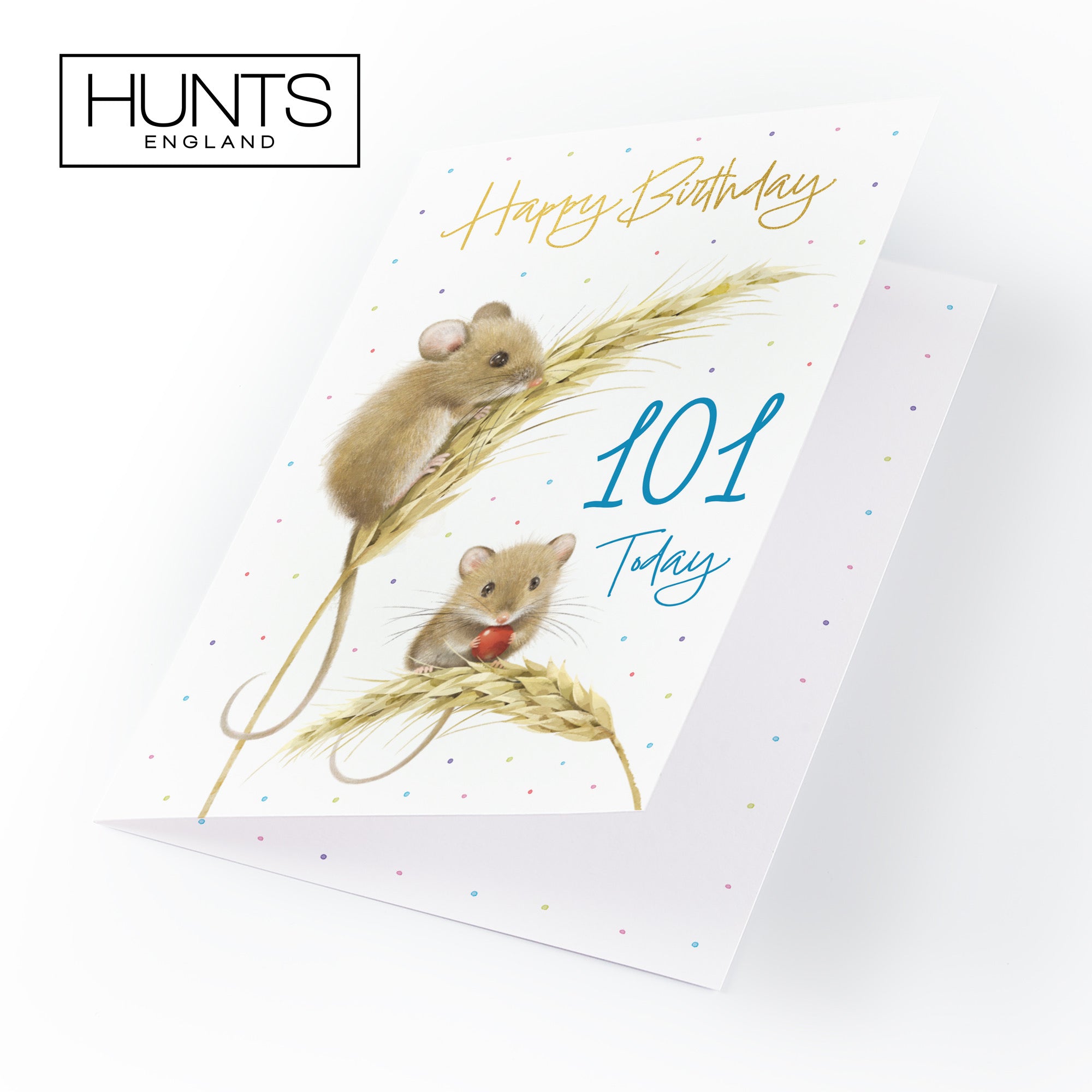 Male 101st Gold Foil Birthday Card Harvest Mice Milo's Gallery - Default Title (B0DG328KJ7)