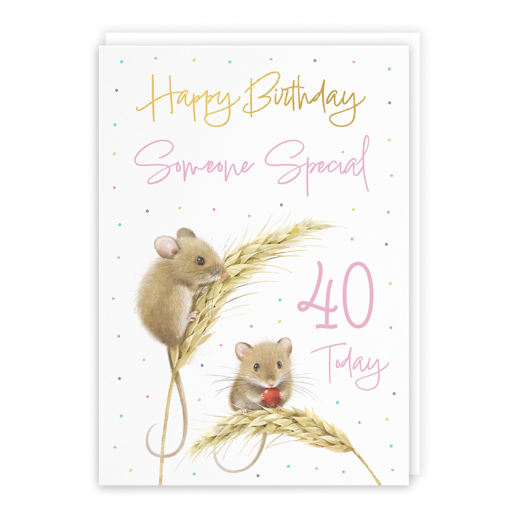 40th Someone Special Female Gold Foil Birthday Card Harvest Mice Milo's Gallery - Default Title (B0DG32Q3RP)