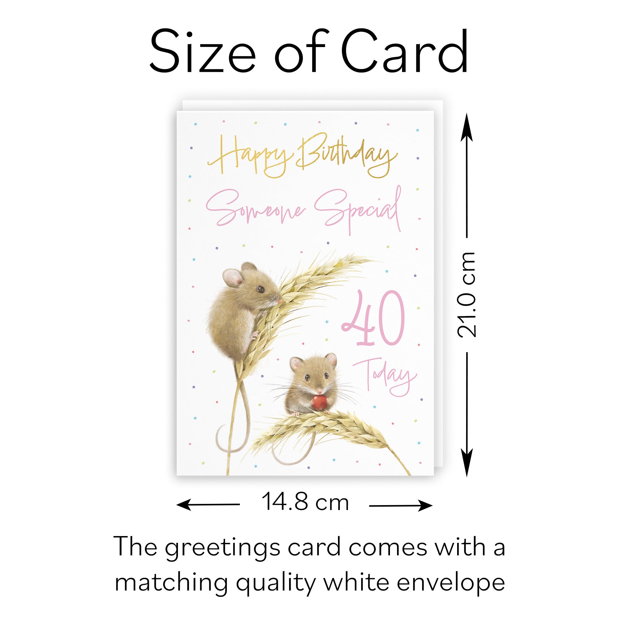 40th Someone Special Female Gold Foil Birthday Card Harvest Mice Milo's Gallery - Default Title (B0DG32Q3RP)