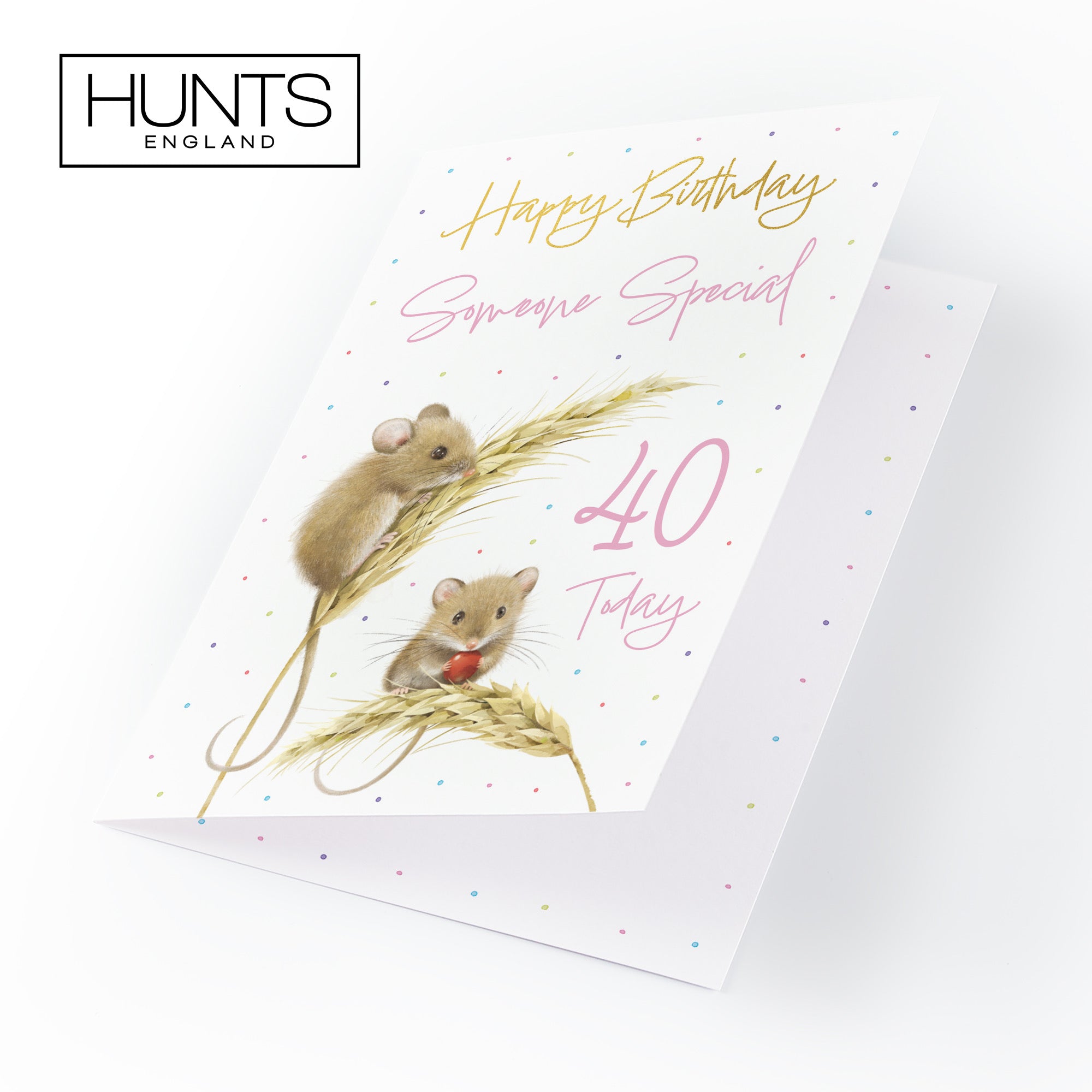 40th Someone Special Female Gold Foil Birthday Card Harvest Mice Milo's Gallery - Default Title (B0DG32Q3RP)