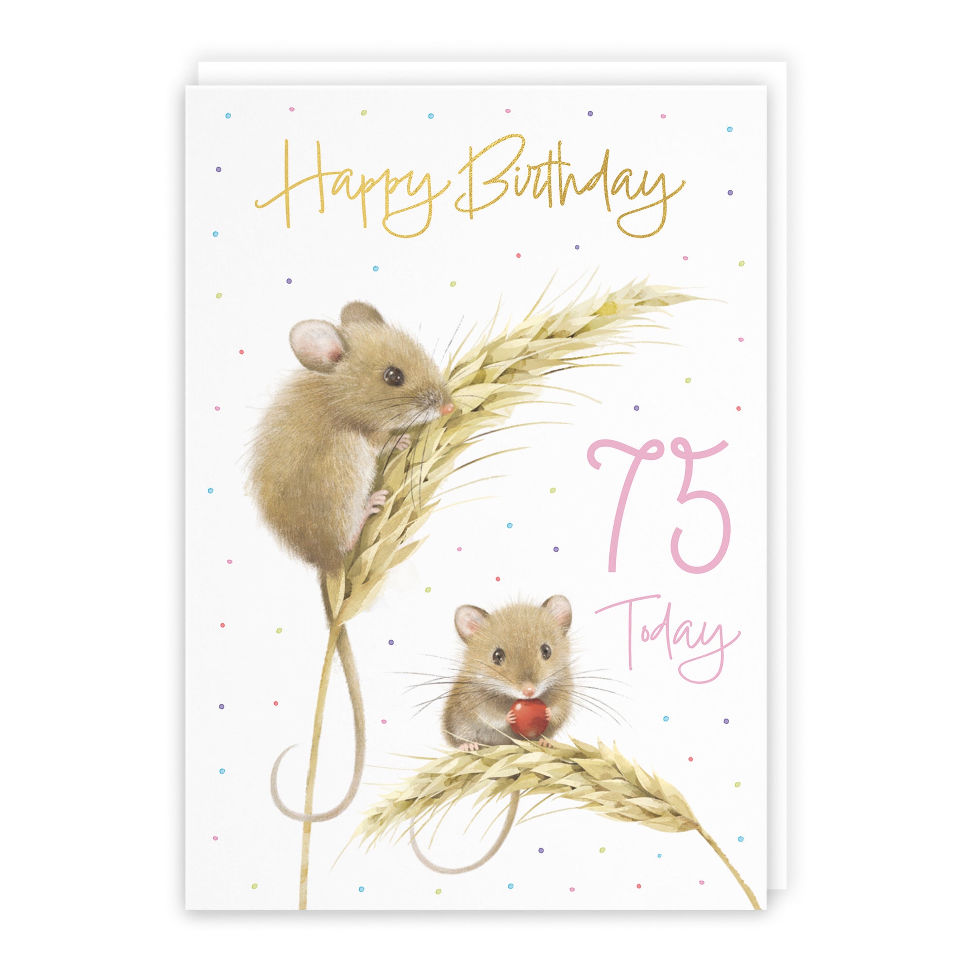 Female 75th Gold Foil Birthday Card Harvest Mice Milo's Gallery - Default Title (B0DG32T62L)