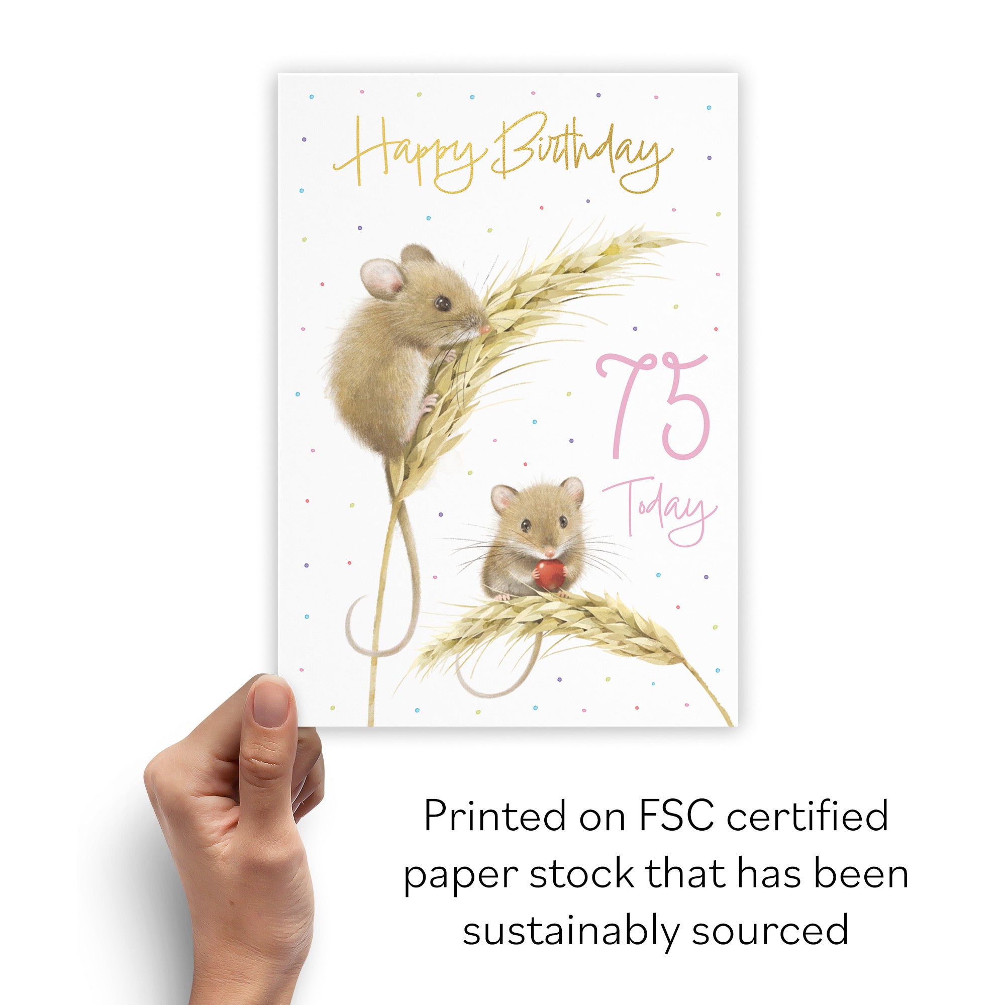 Female 75th Gold Foil Birthday Card Harvest Mice Milo's Gallery - Default Title (B0DG32T62L)