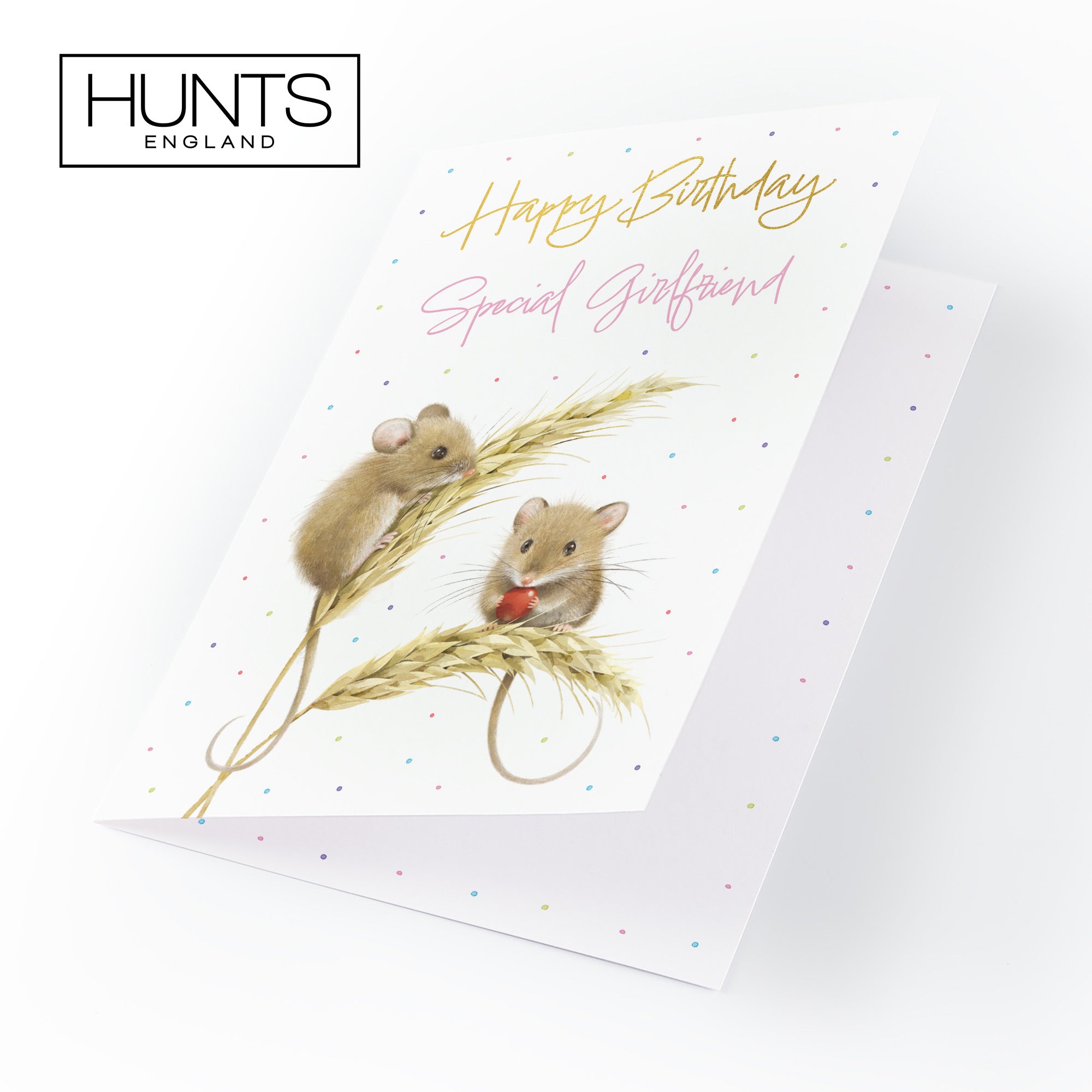 Girlfriend Gold Foil Birthday Card Harvest Mice Milo's Gallery - Default Title (B0DG33LSDR)