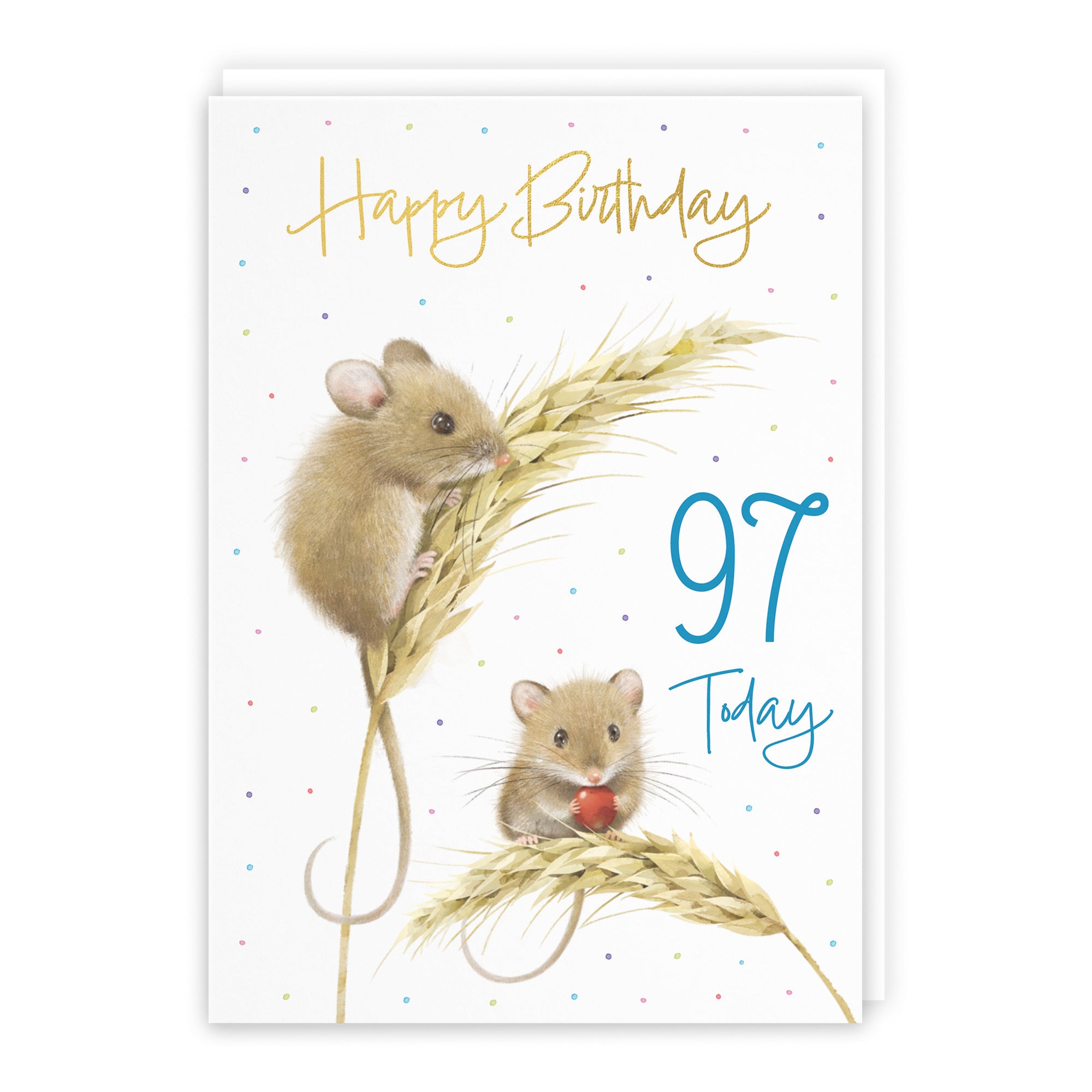 Male 97th Gold Foil Birthday Card Harvest Mice Milo's Gallery - Default Title (B0DG33S8F8)