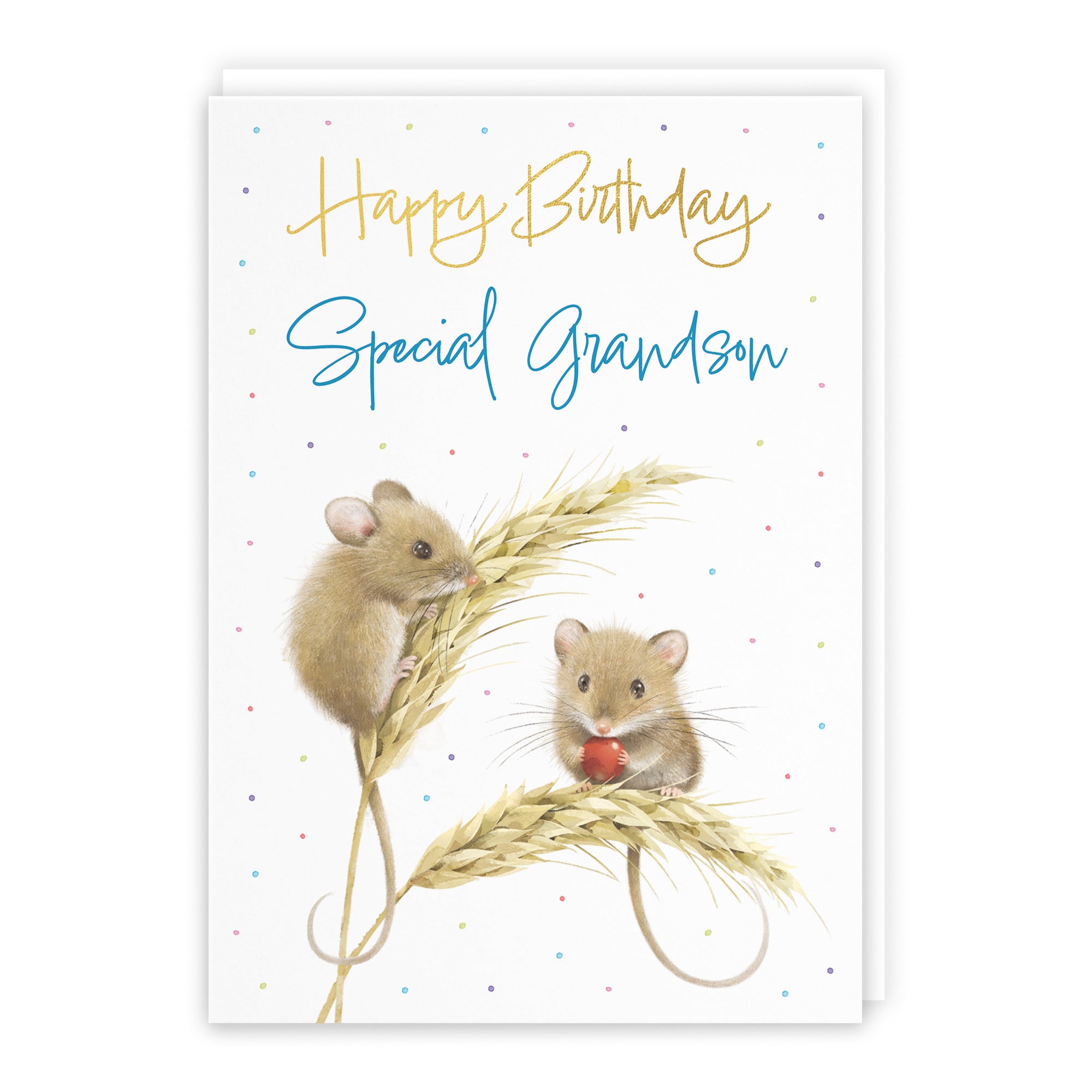 Grandson Gold Foil Birthday Card Harvest Mice Milo's Gallery - Default Title (B0DG33T6QM)